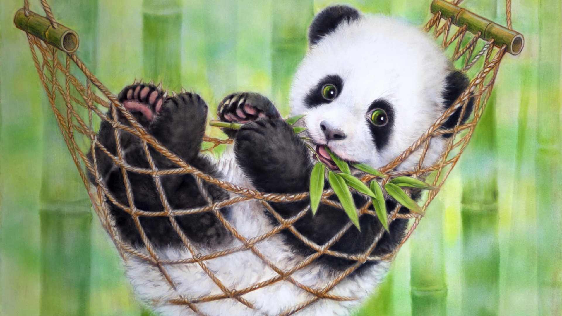 cute wallpapers hd,terrestrial animal,panda,organism,adaptation,lemur