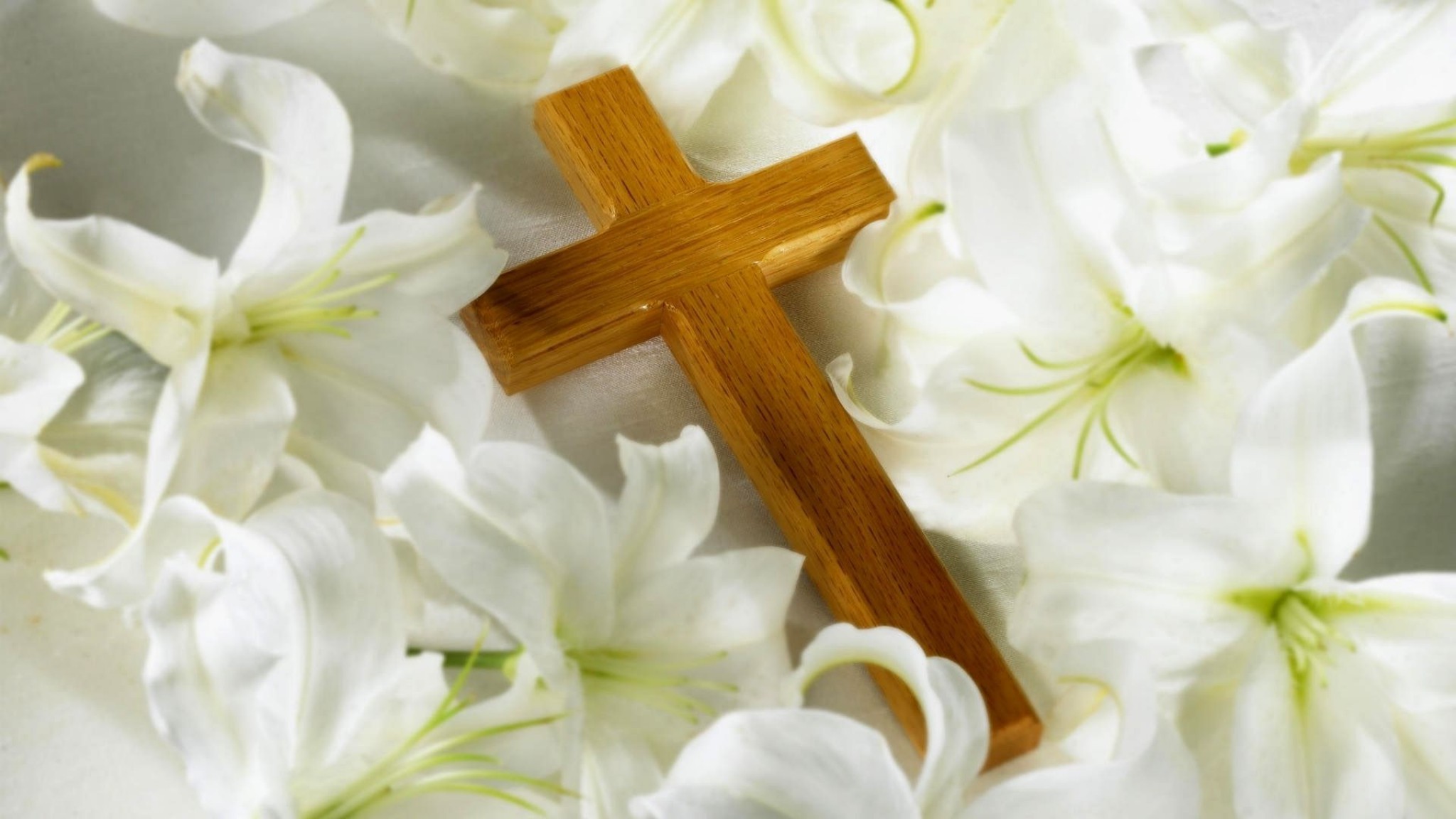 cross wallpaper,religious item,cross,symbol,plant,flower