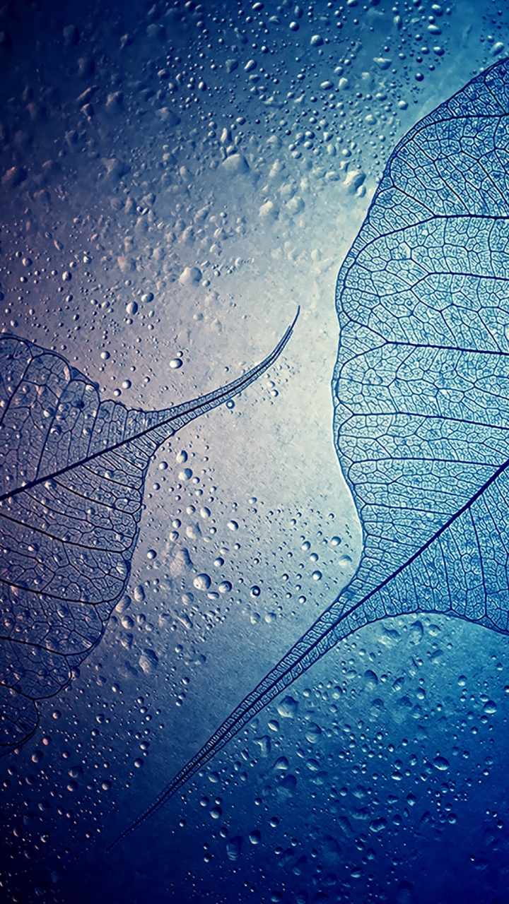 サムスン壁紙hd,水,青い,葉,落とす,空