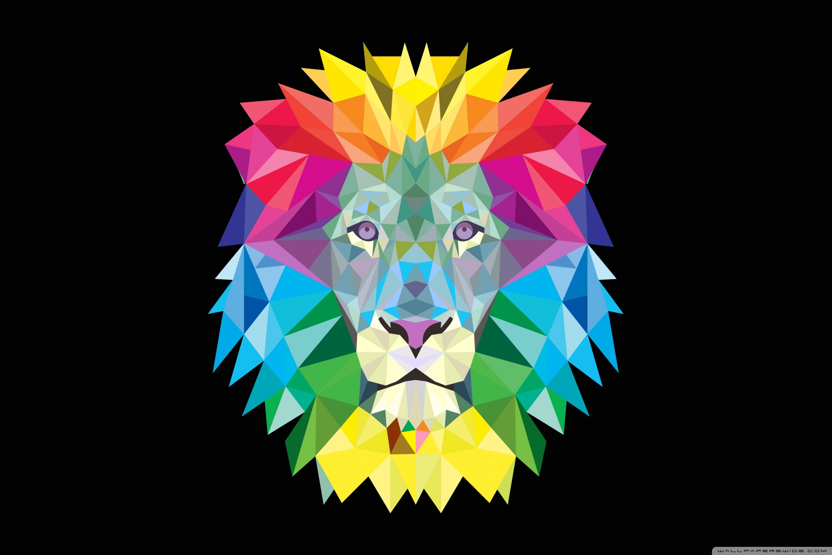 qhd wallpaper,lion,illustration,art,felidae,big cats