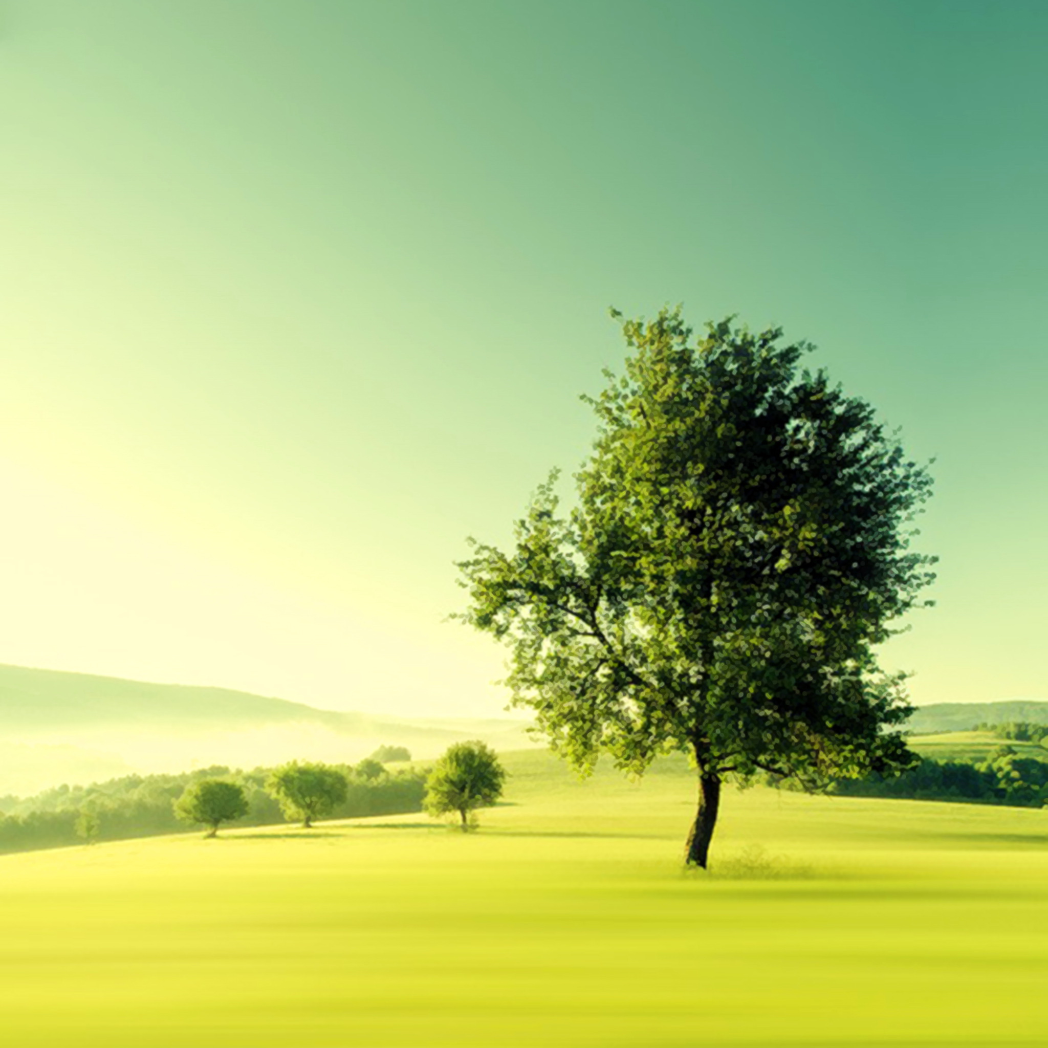 nuevo fondo de pantalla hd,paisaje natural,cielo,verde,naturaleza,árbol