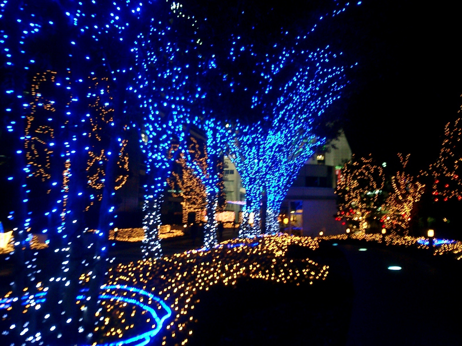 papel pintado claro,luces de navidad,decoración navideña,ligero,encendiendo,área metropolitana