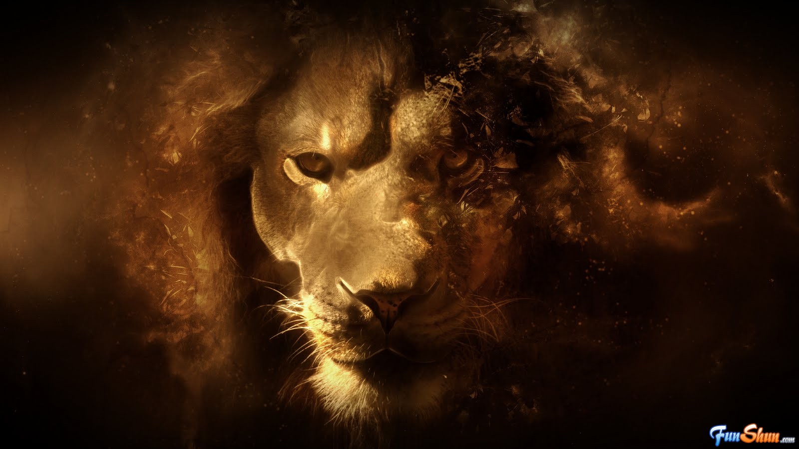 león fondo de pantalla hd,león,oscuridad,felidae,fauna silvestre,hocico