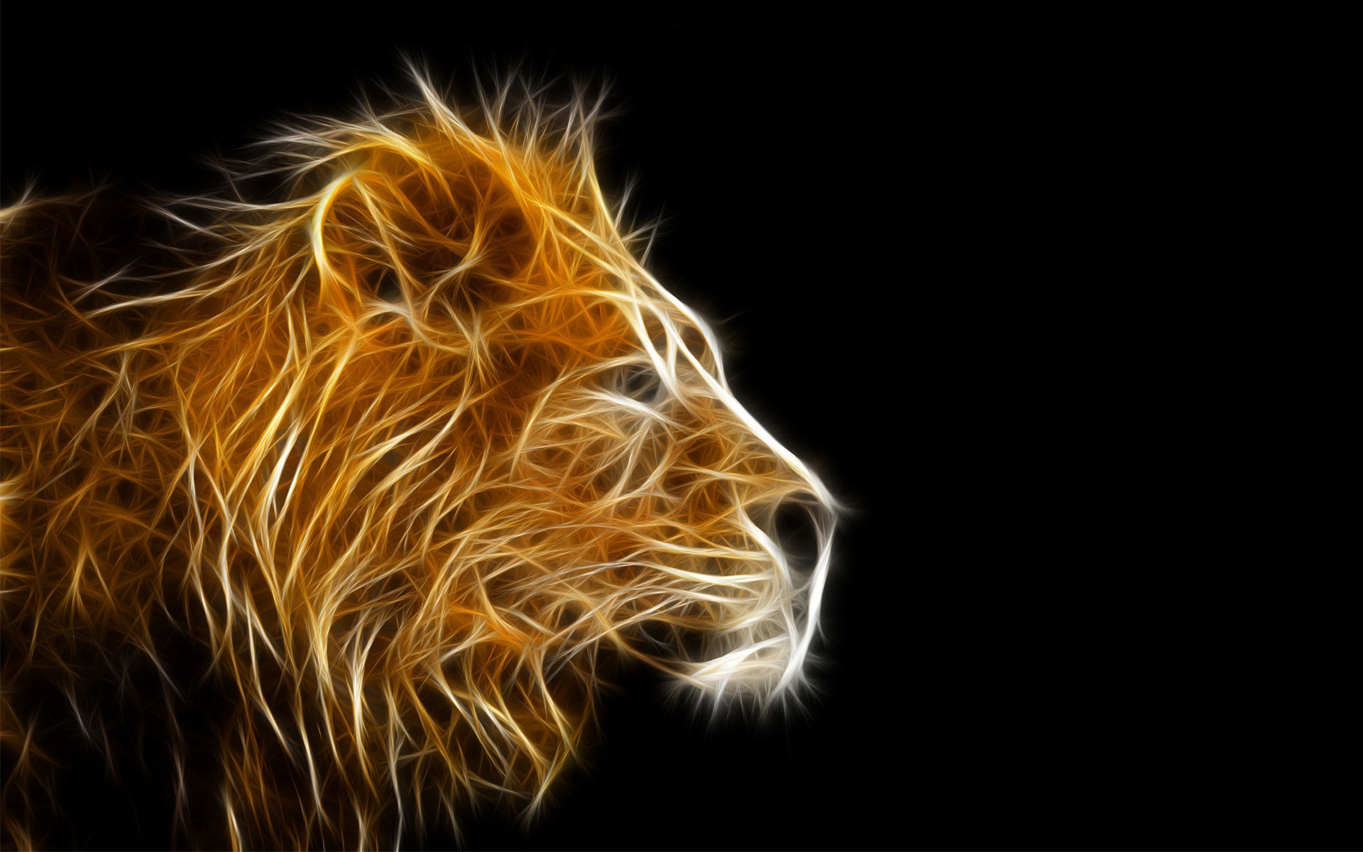 animal wallpaper hd,lion,mammal,felidae,wildlife,big cats