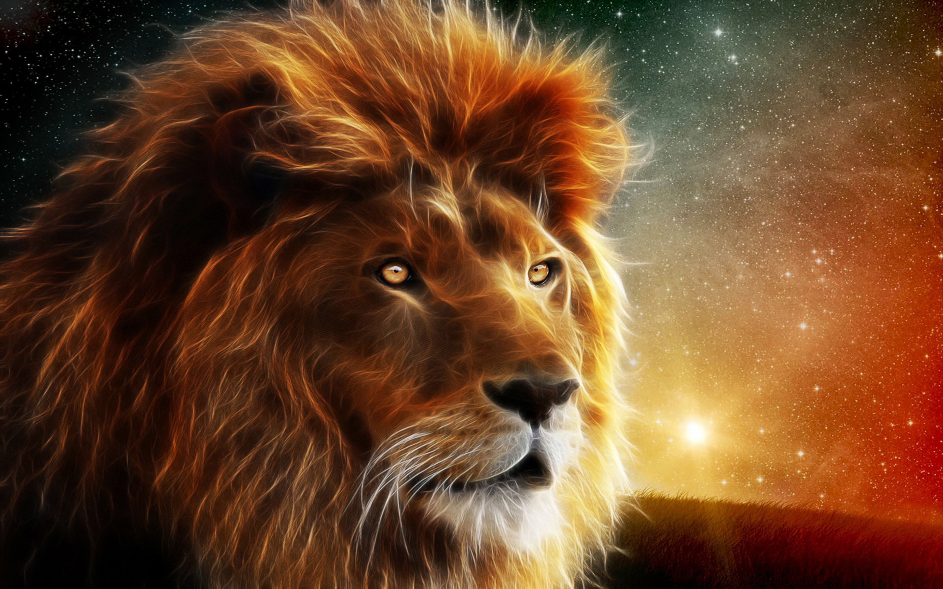 león fondo de pantalla hd,león,cabello,felidae,masai lion,fauna silvestre