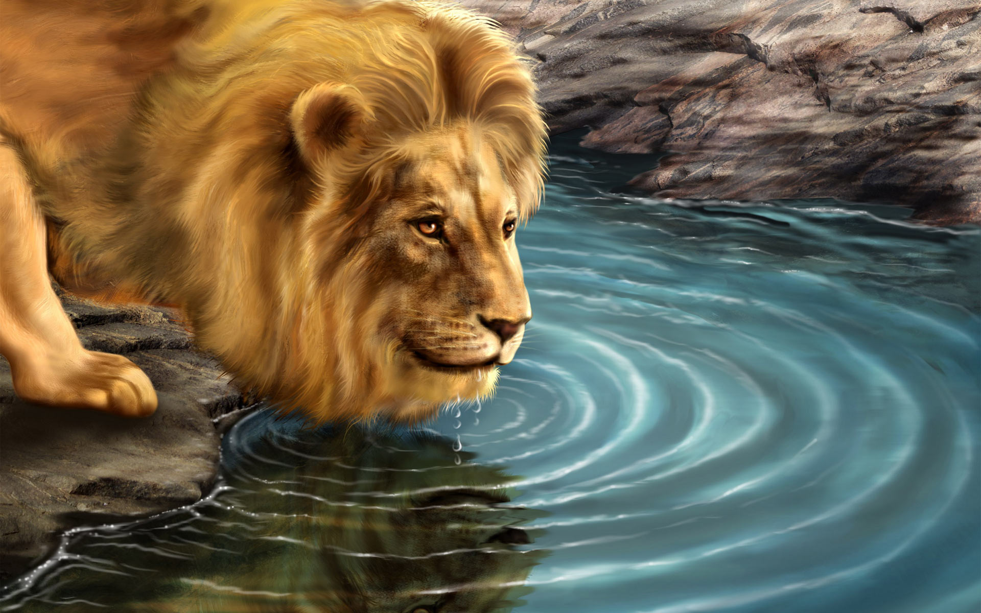 lion hd wallpaper,lion,wildlife,felidae,masai lion,big cats