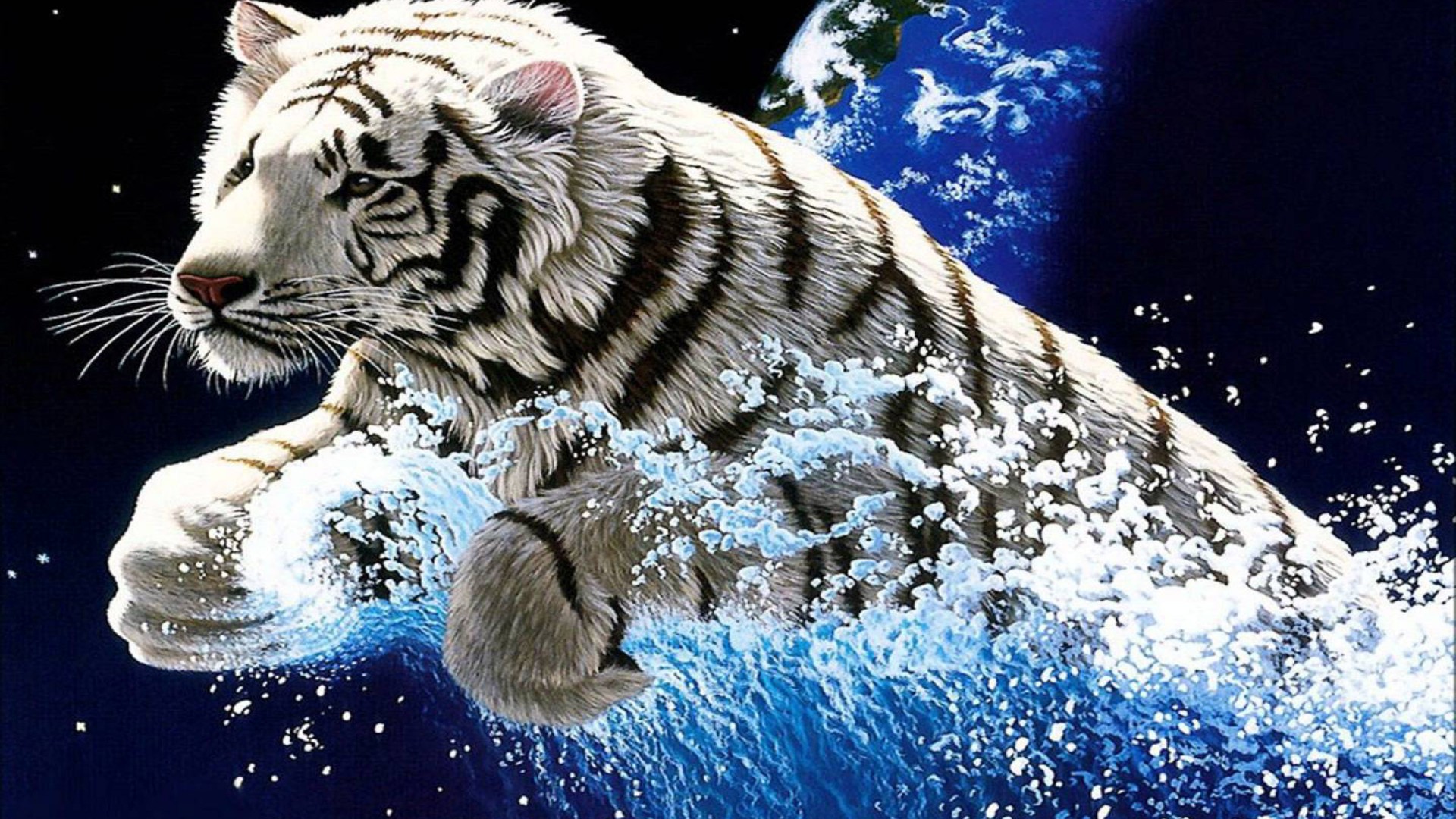 tiger hd wallpaper,tiger,bengalischer tiger,sibirischer tiger,felidae,große katzen