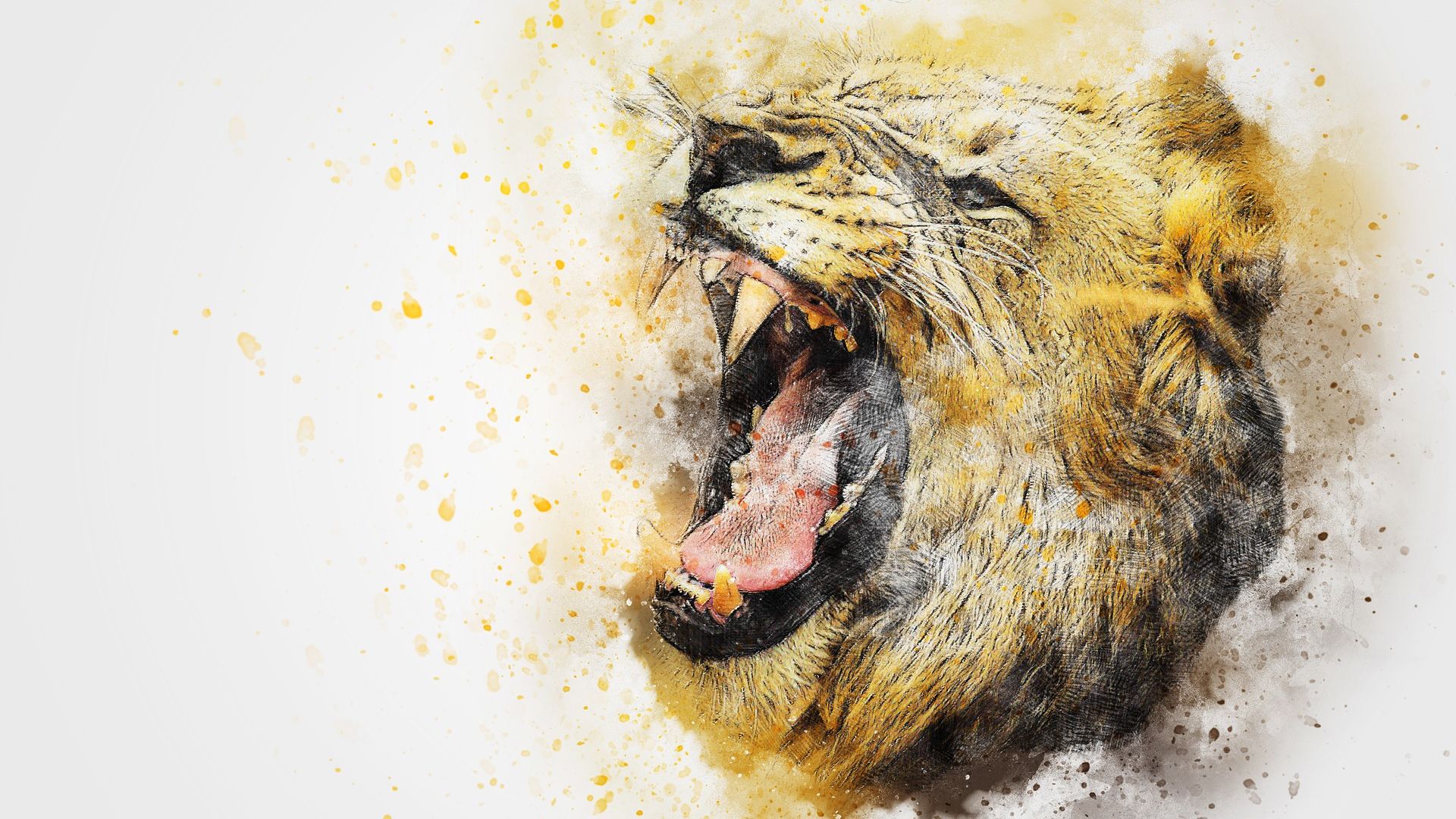 león fondo de pantalla hd,felidae,pintura de acuarela,hocico,rugido,león