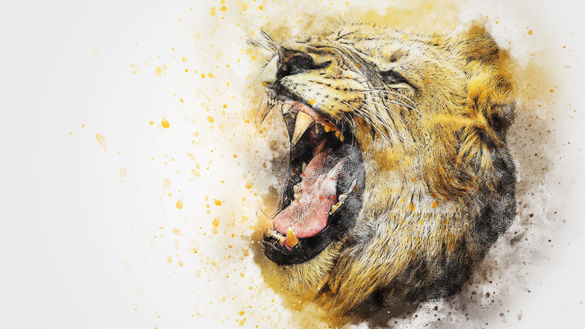 lion hd fond d'écran,félidés,peinture aquarelle,museau,rugir,lion