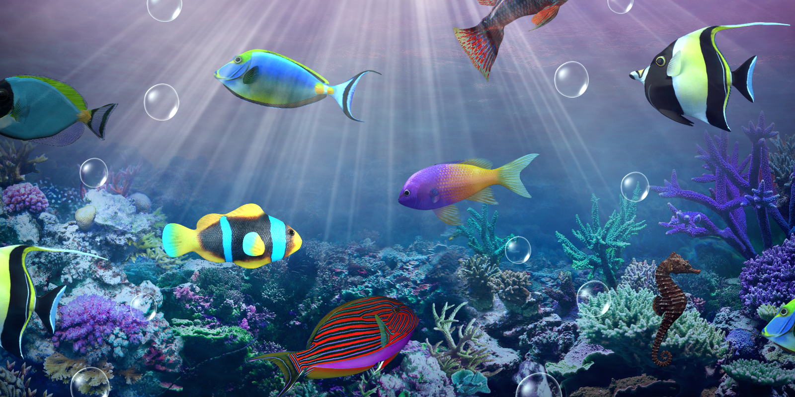 live wallpaper hd,underwater,fish,marine biology,coral reef fish,fish