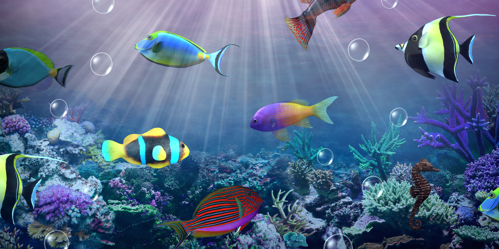 live wallpaper hd,unter wasser,fisch,meeresbiologie,korallenrifffische,fisch