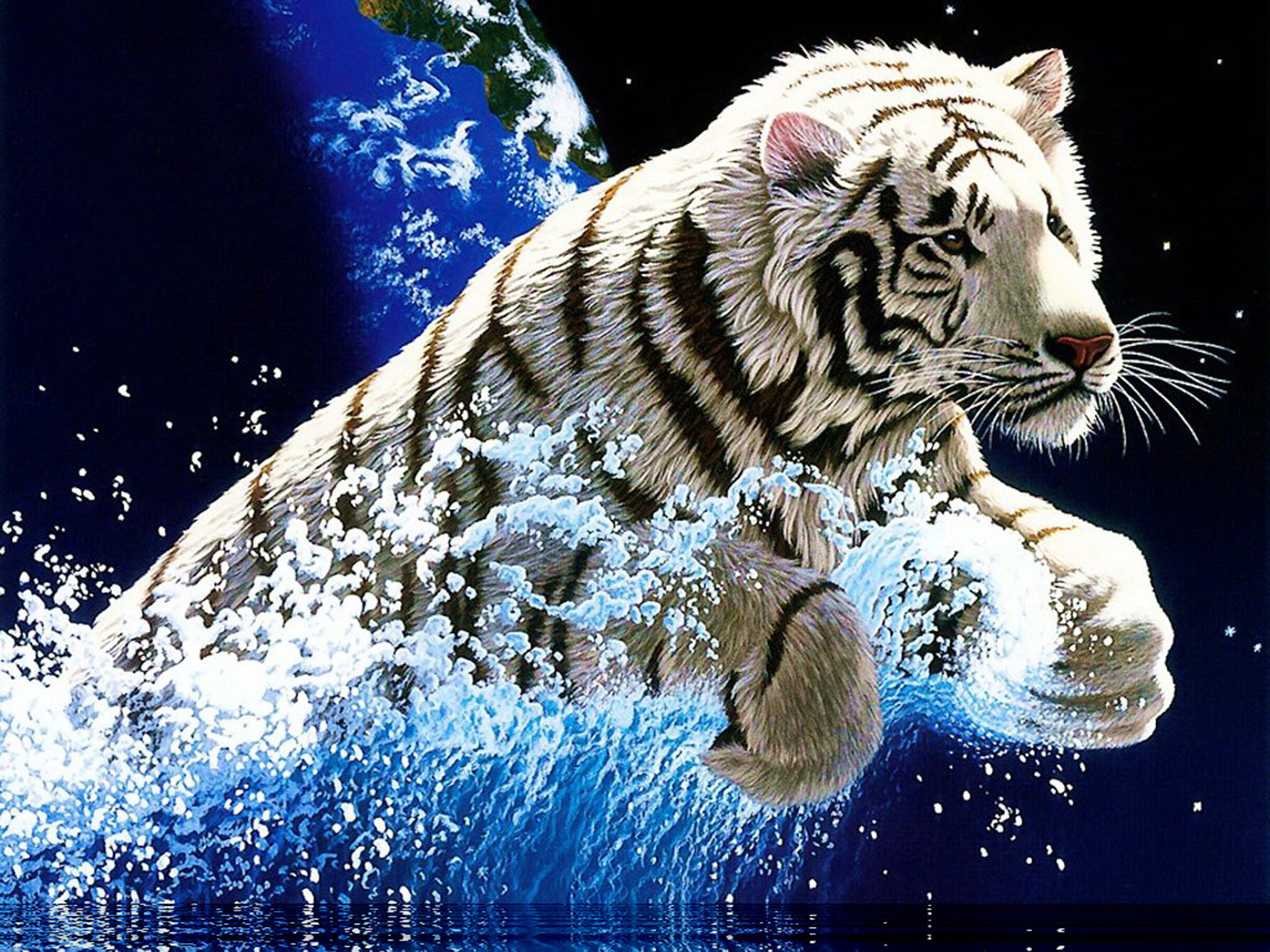 tiger hd wallpaper,tiger,bengal tiger,felidae,siberian tiger,big cats