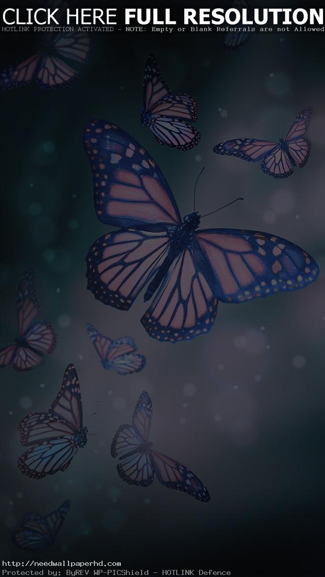 live wallpaper hd,mariposa,polillas y mariposas,insecto,azul,mariposa monarca