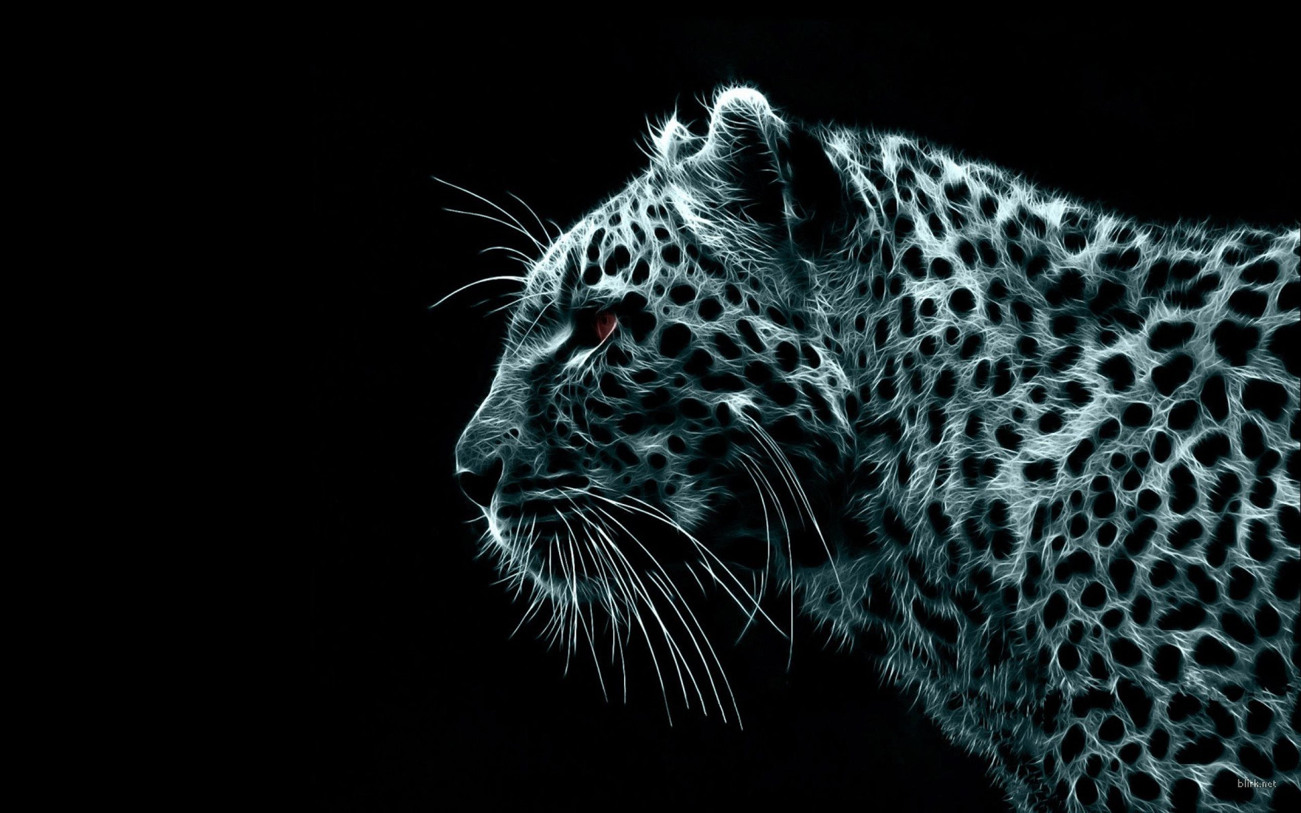 tiger hd wallpaper,vertebrate,wildlife,jaguar,terrestrial animal,felidae