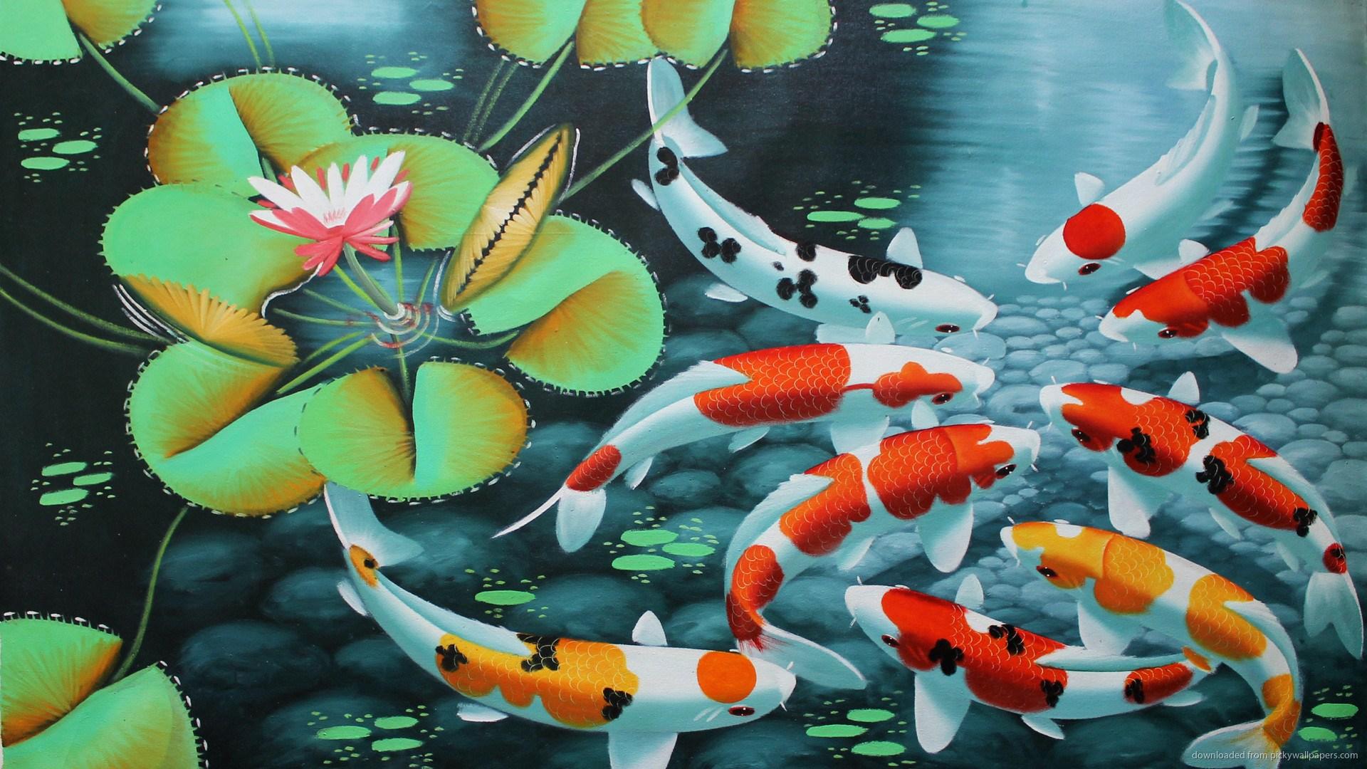 live wallpaper kostenlos,koi,teich,fischteich,feederfisch,meeresbiologie