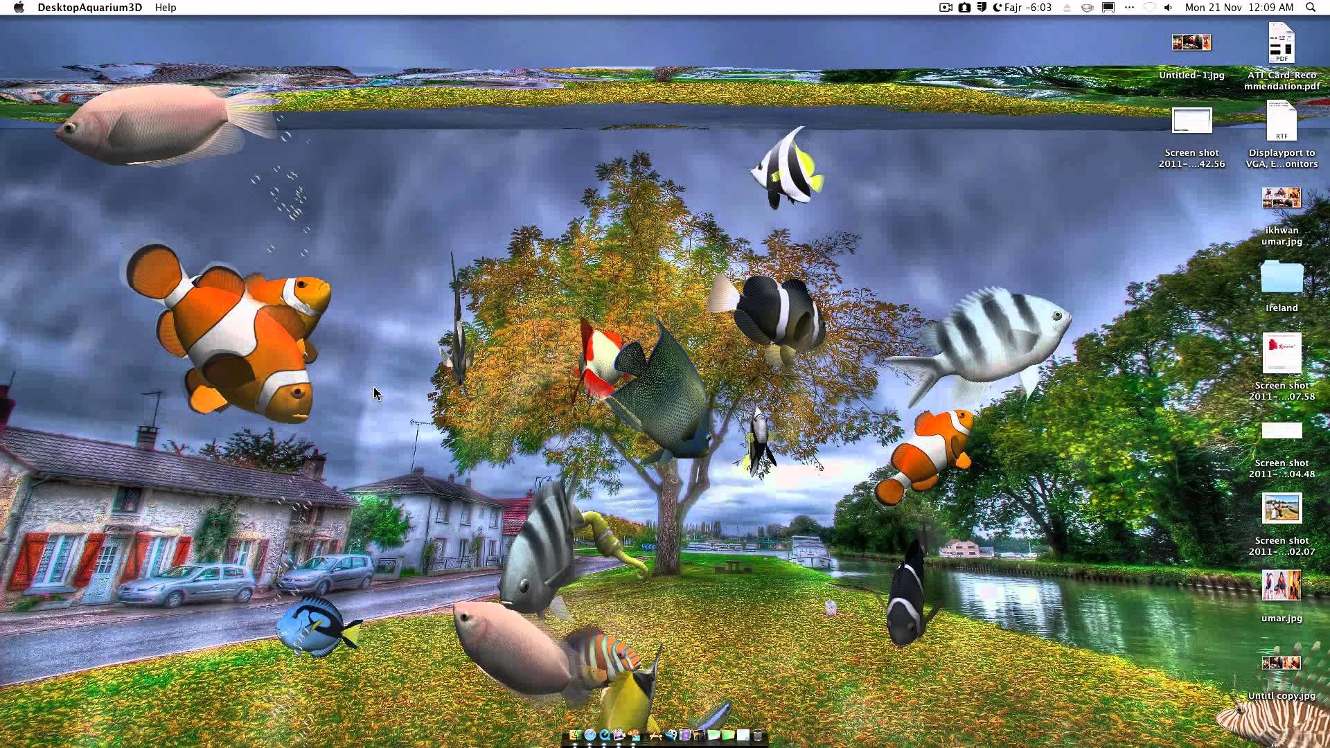 fondo de pantalla en vivo gratis,juego de pc,captura de pantalla,juegos,pez,pez anémona