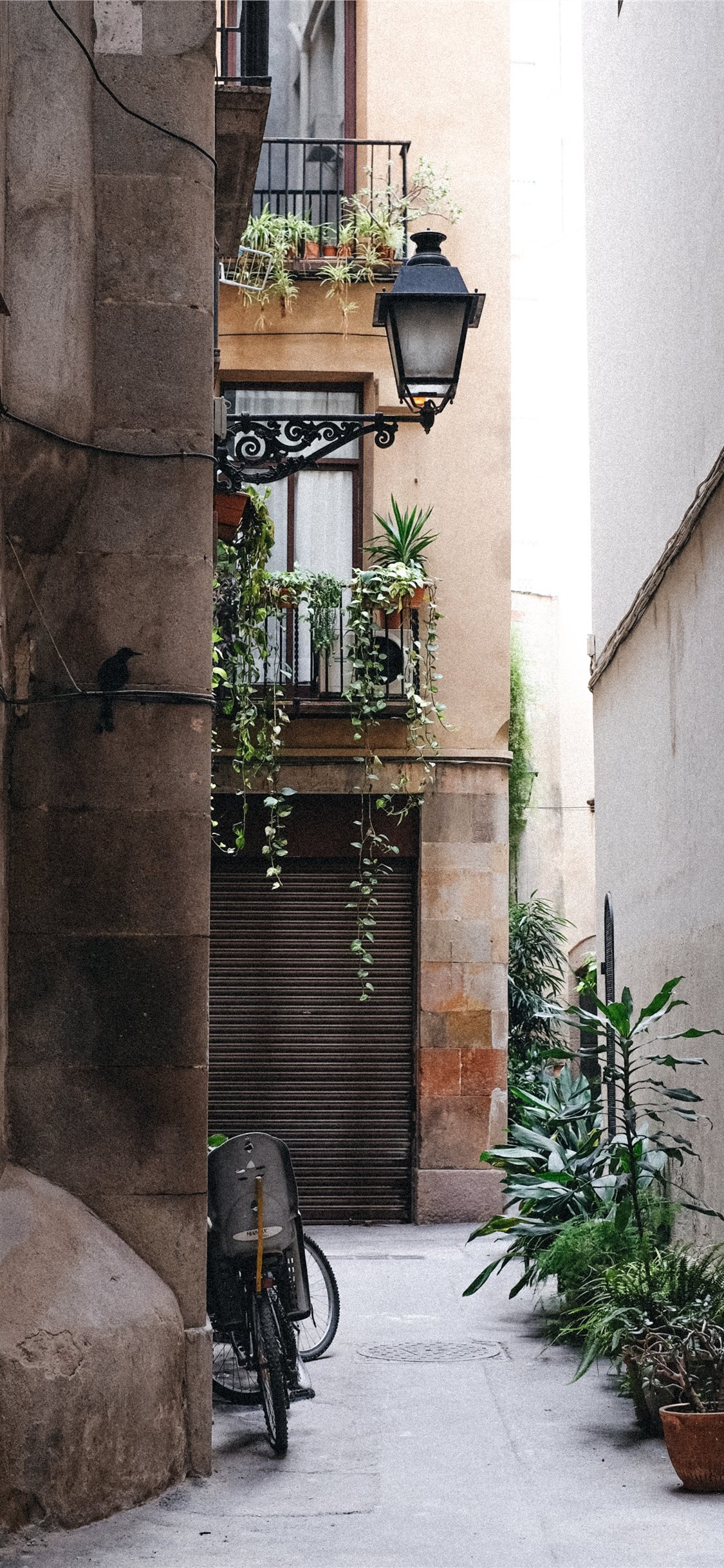 barcelona wallpaper,property,wall,building,architecture,house