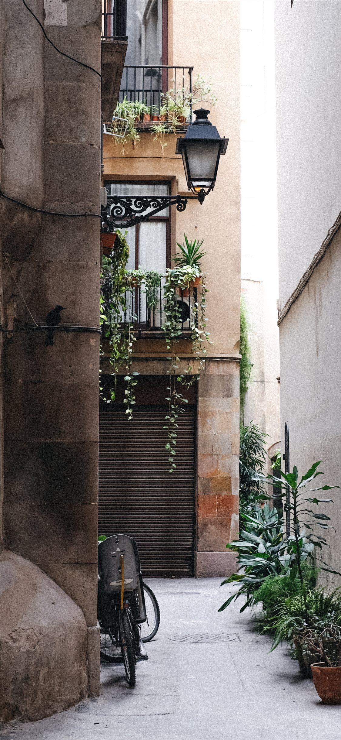 carta da parati di barcellona,proprietà,parete,costruzione,architettura,casa