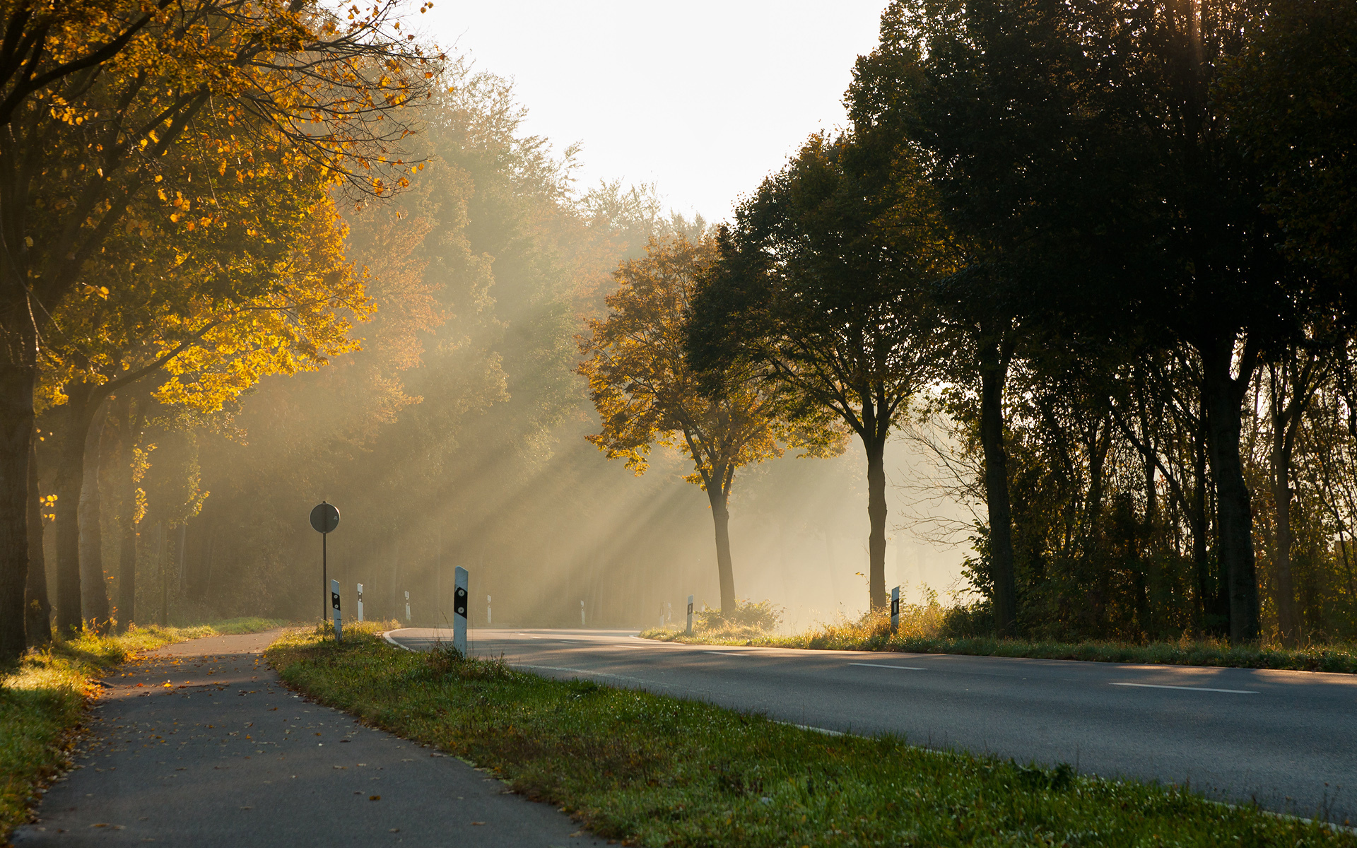 good morning hd wallpaper,atmospheric phenomenon,nature,natural landscape,morning,sky