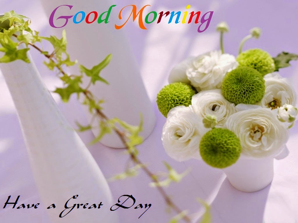 good morning wallpaper download,flower,cut flowers,bouquet,plant,flower arranging