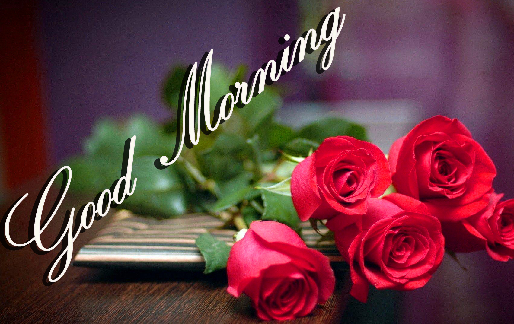 good morning wallpaper download,text,garden roses,font,petal,pink