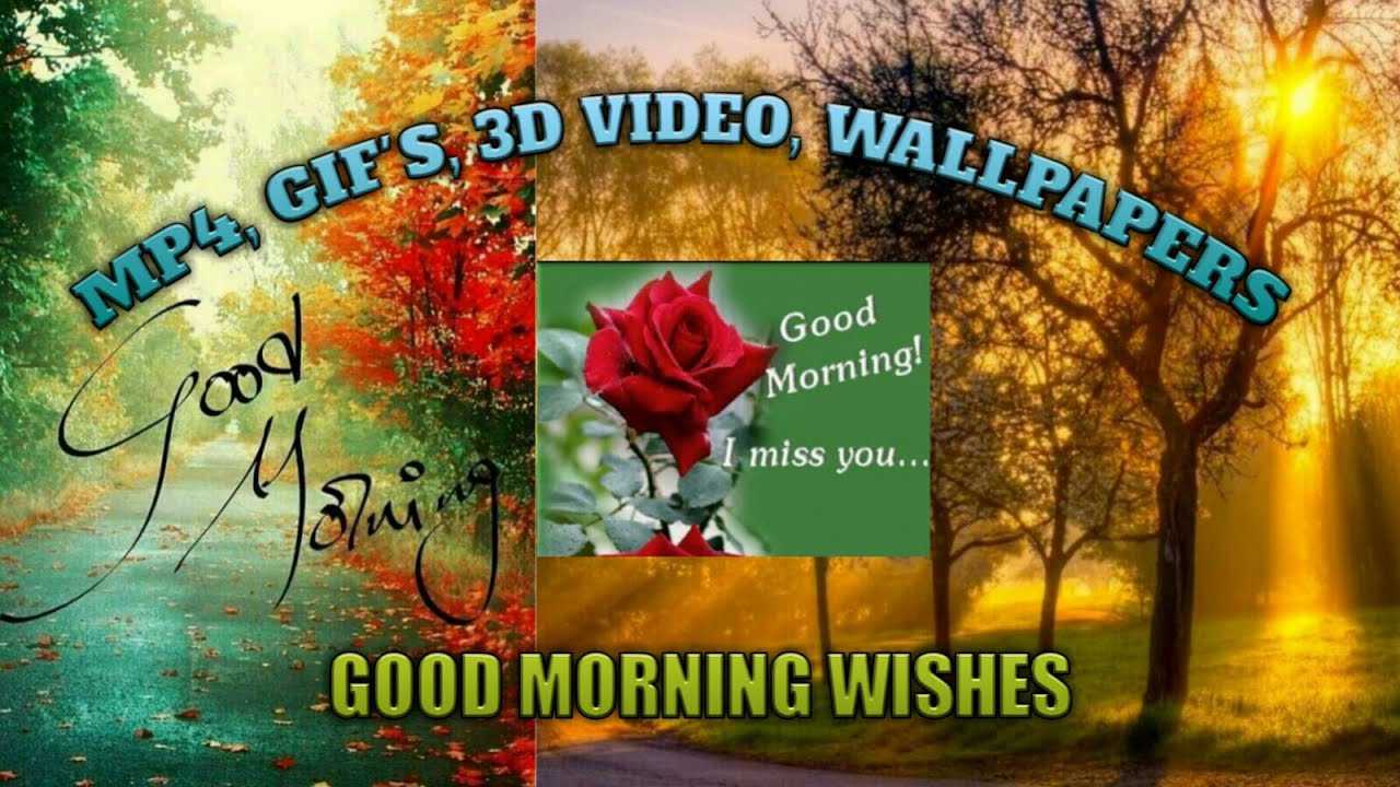 good morning wallpaper download,nature,natural landscape,morning,tree,text