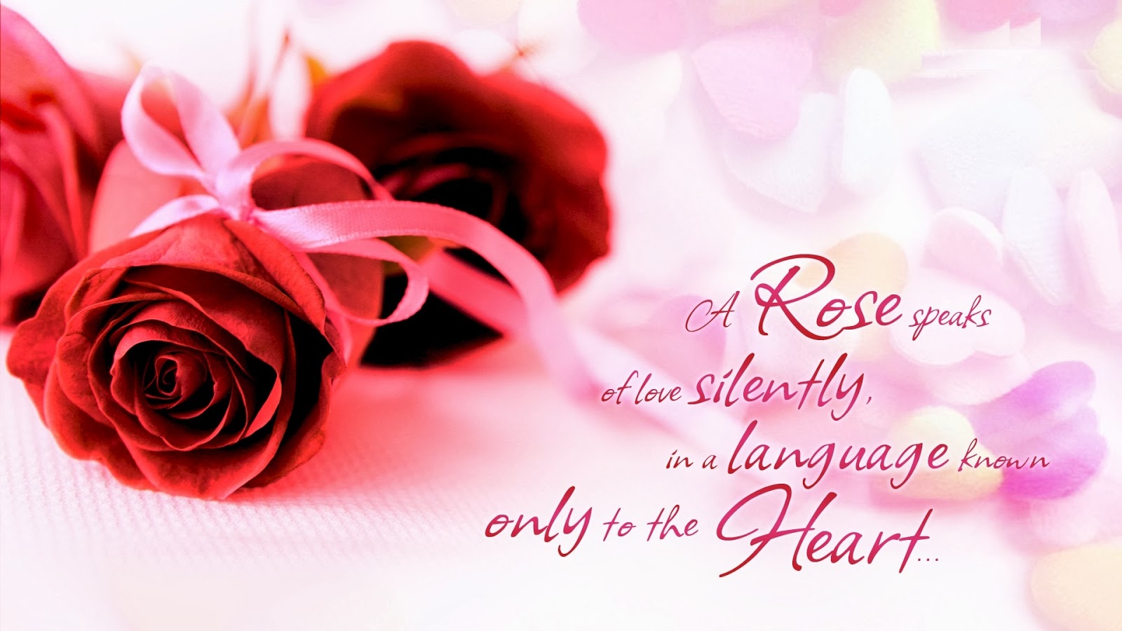 good morning wallpaper download,pink,text,red,valentine's day,garden roses