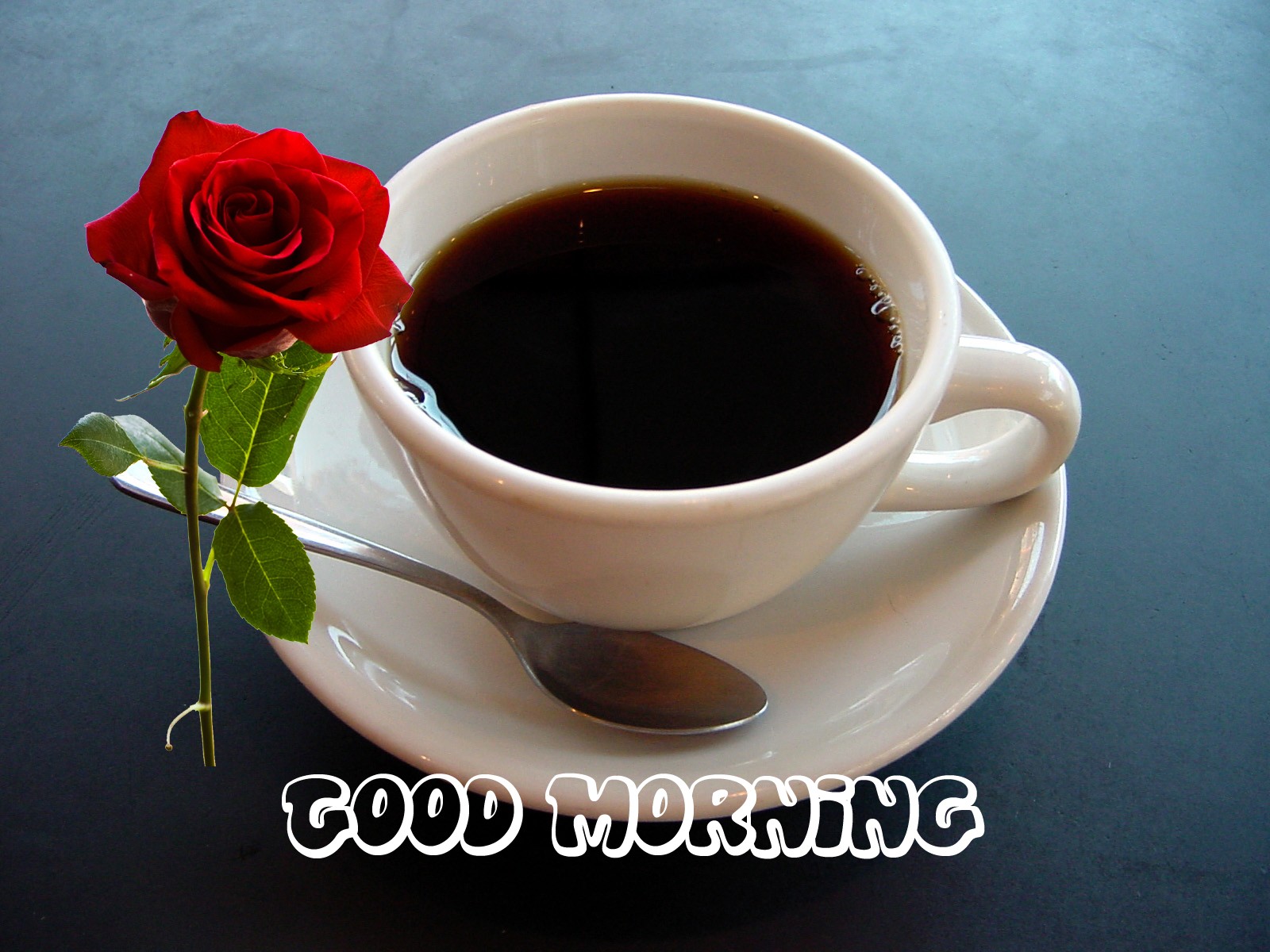 morning wallpaper,cup,coffee cup,dandelion coffee,cup,kopi tubruk