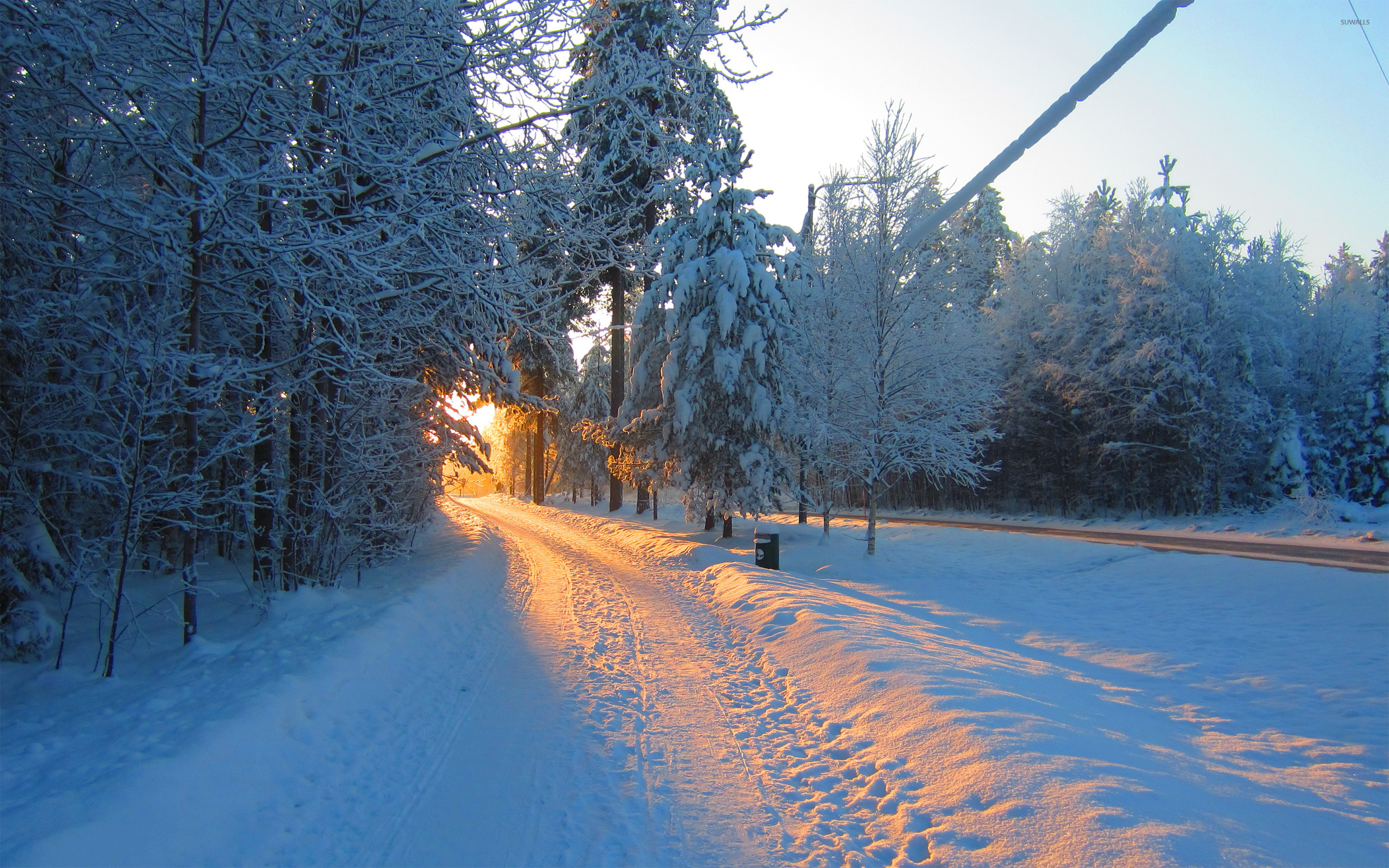 fondo de pantalla de la mañana,nieve,invierno,árbol,naturaleza,cielo