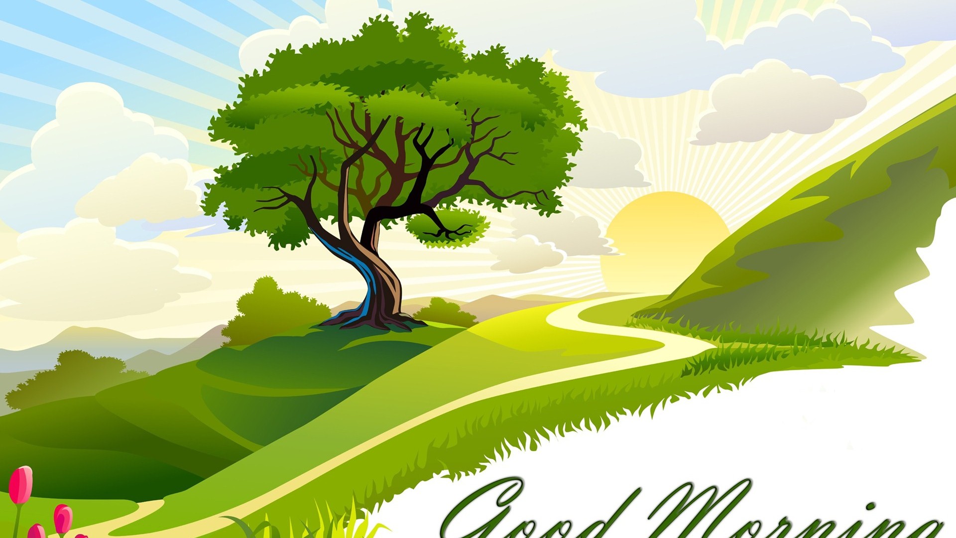 morning wallpaper,natural landscape,nature,green,tree,arbor day