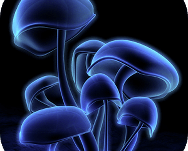 3d wallpaper für android,elektrisches blau,pilz,grafik