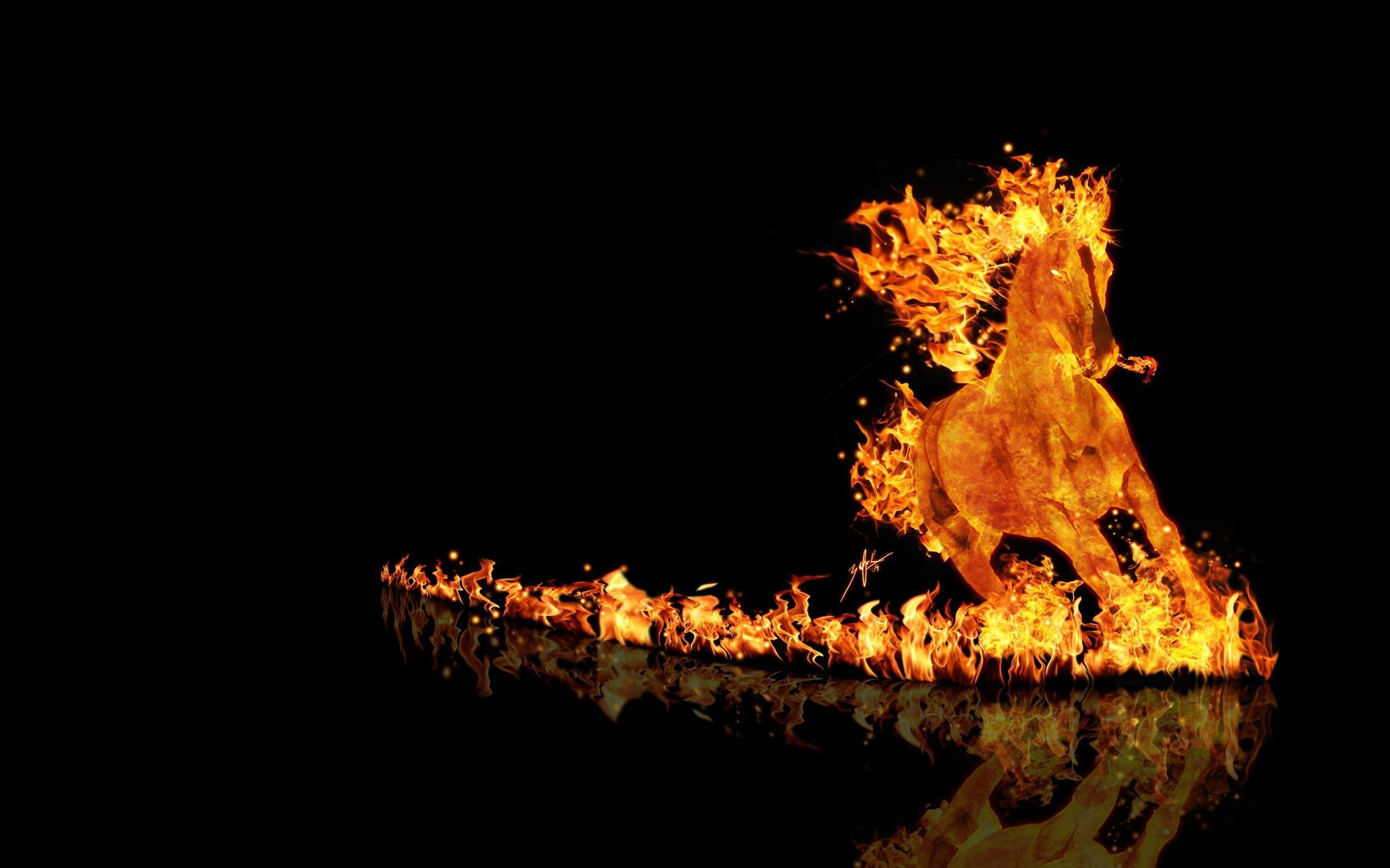 fondo de pantalla 3d para android,fuego,fuego,calor,hoguera,evento