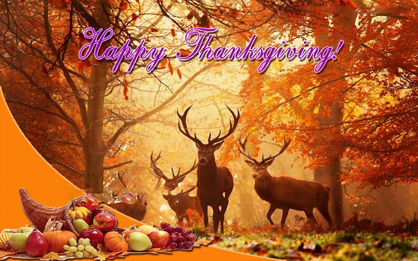 thanksgiving wallpaper,nature,wildlife,natural landscape,autumn,tree
