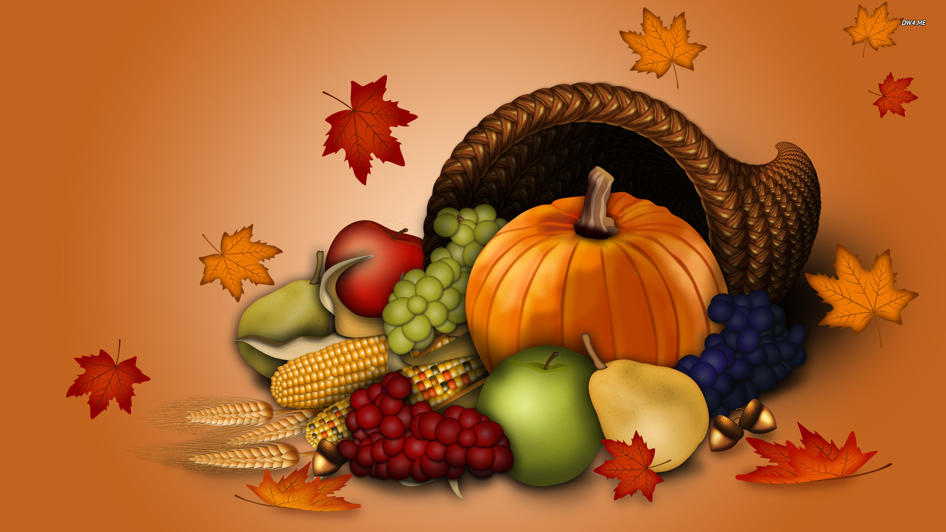 感謝祭の壁紙,自然食品,野菜,静物,カラバザ,静物写真
