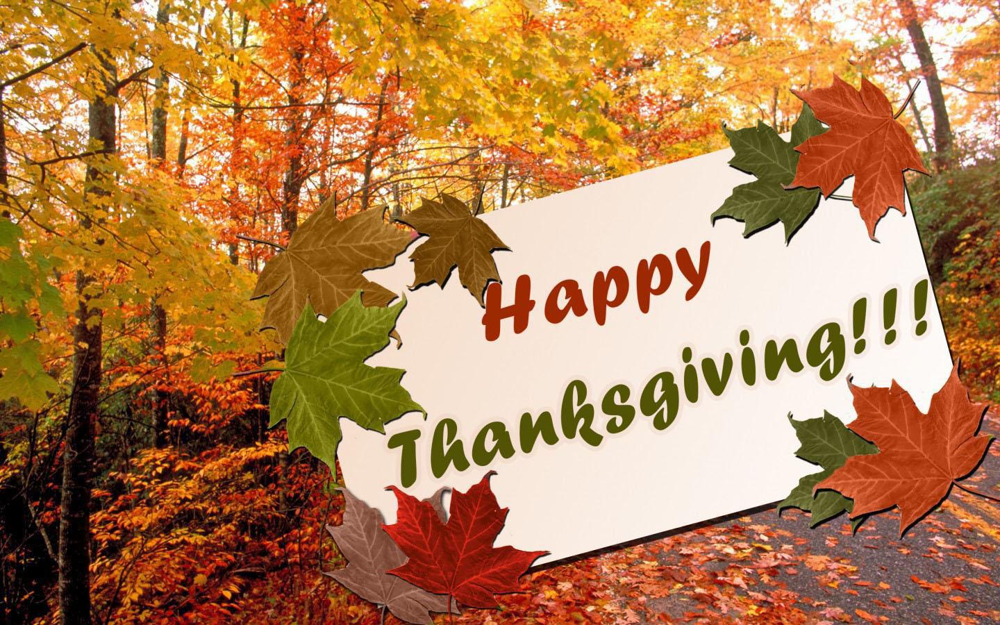 thanksgiving wallpaper,tree,leaf,maple leaf,deciduous,black maple