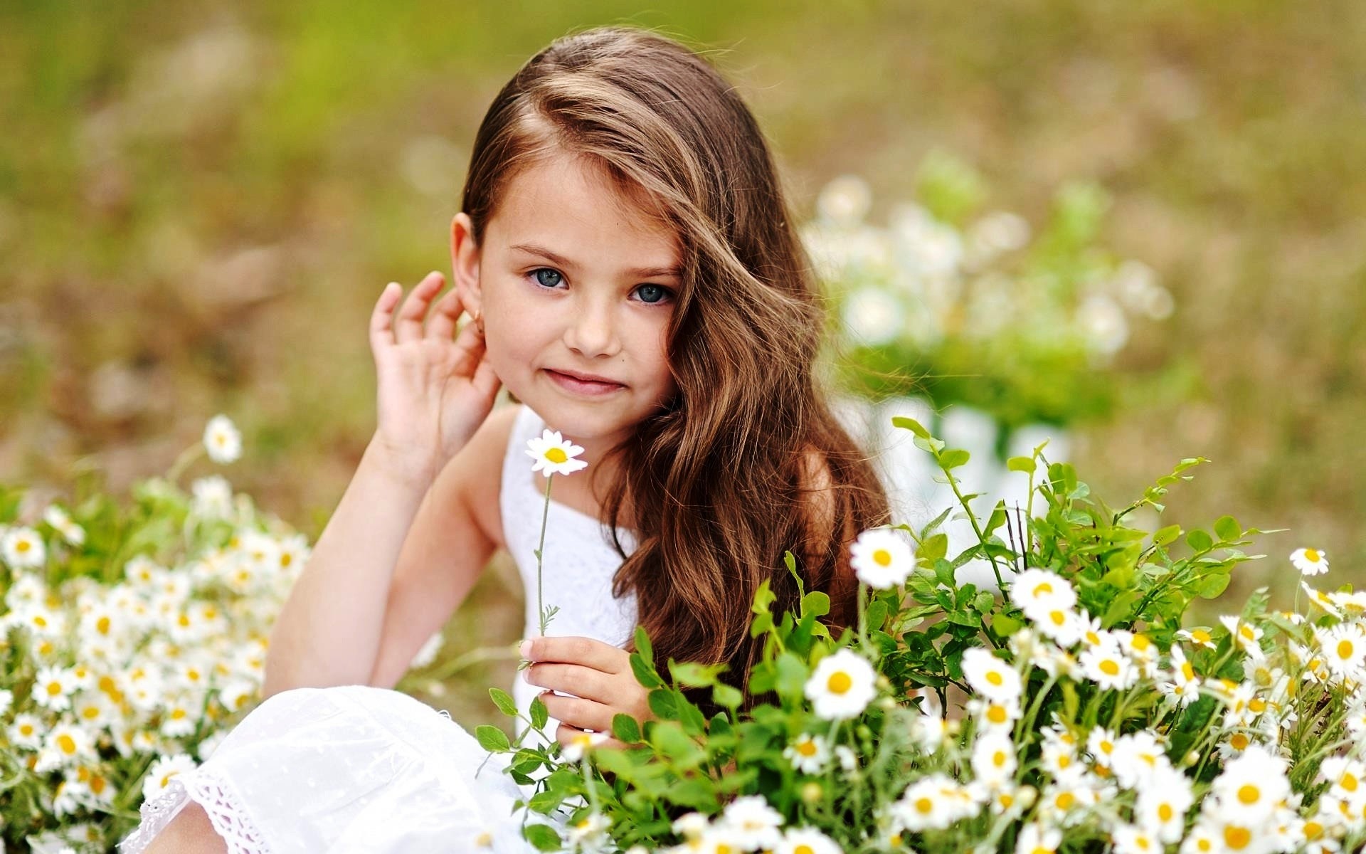 소녀들을위한 귀여운 월페이퍼,머리,꽃,아름다움,식물,목초지