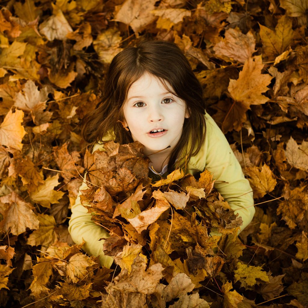 sfondi carini per ragazze,foglia,autunno,giallo,bellezza,bambino