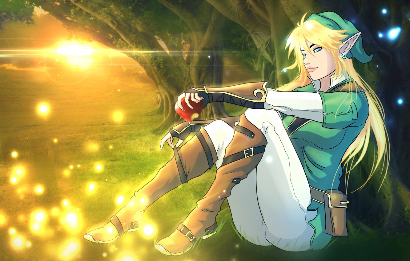 zelda wallpaper,anime,cartoon,cg artwork,black hair,fictional character