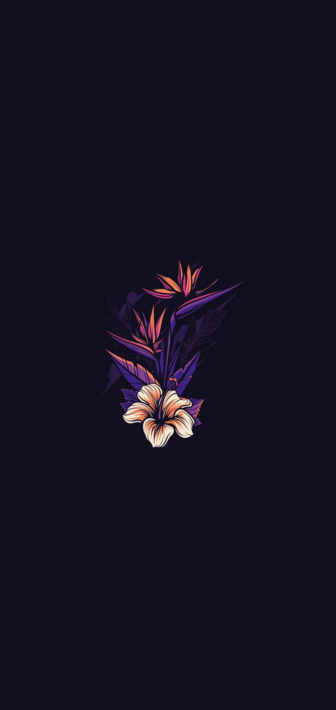 fondo oscuro,púrpura,violeta,flor,planta,pétalo