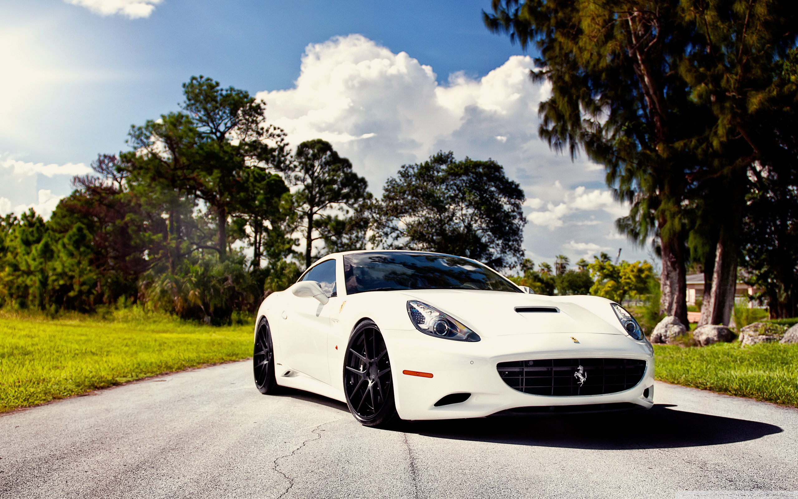 fond d'écran ferrari,véhicule terrestre,véhicule,voiture,supercar,voiture de sport