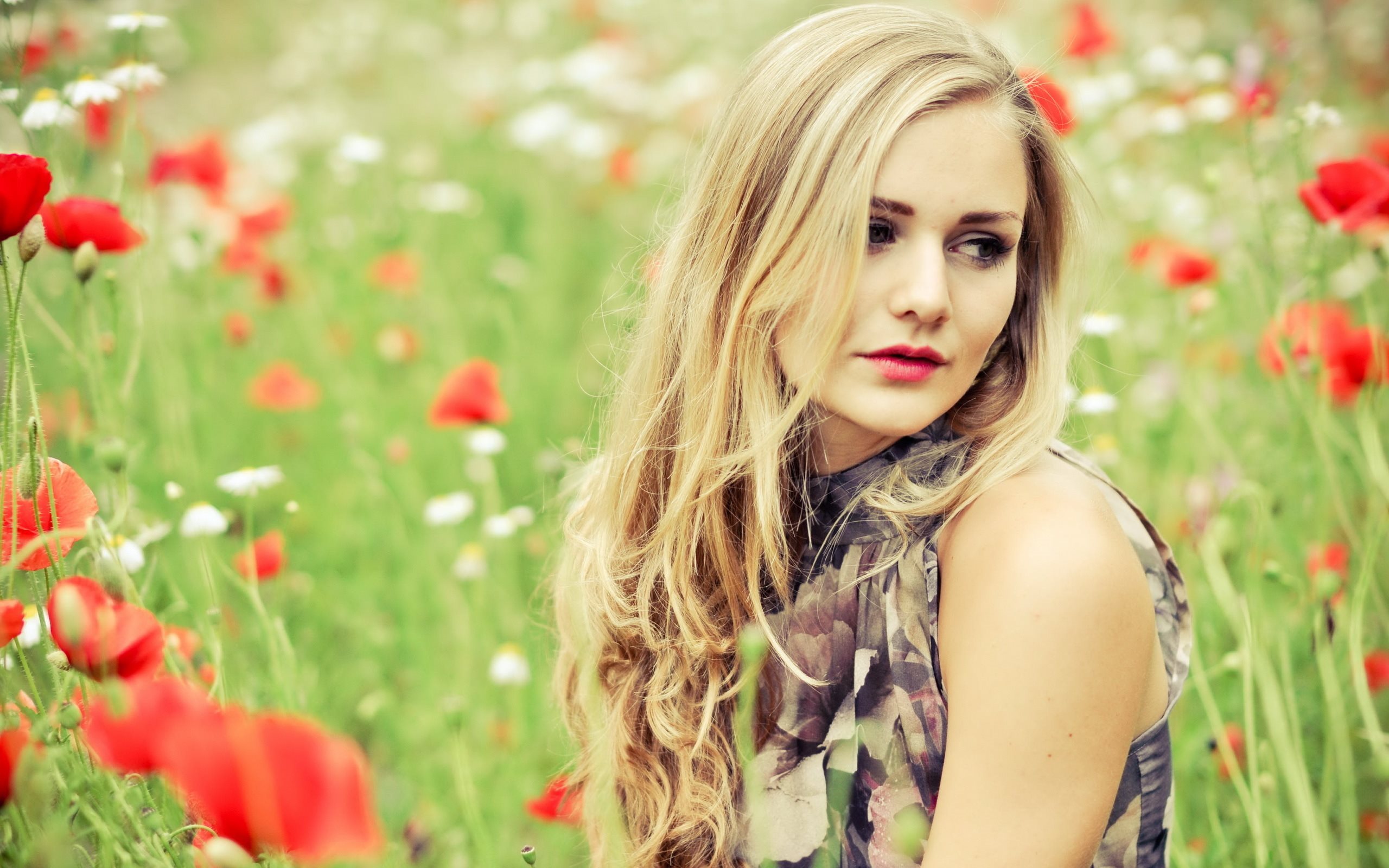 beautiful girl hd wallpaper,people in nature,meadow,beauty,flower,poppy