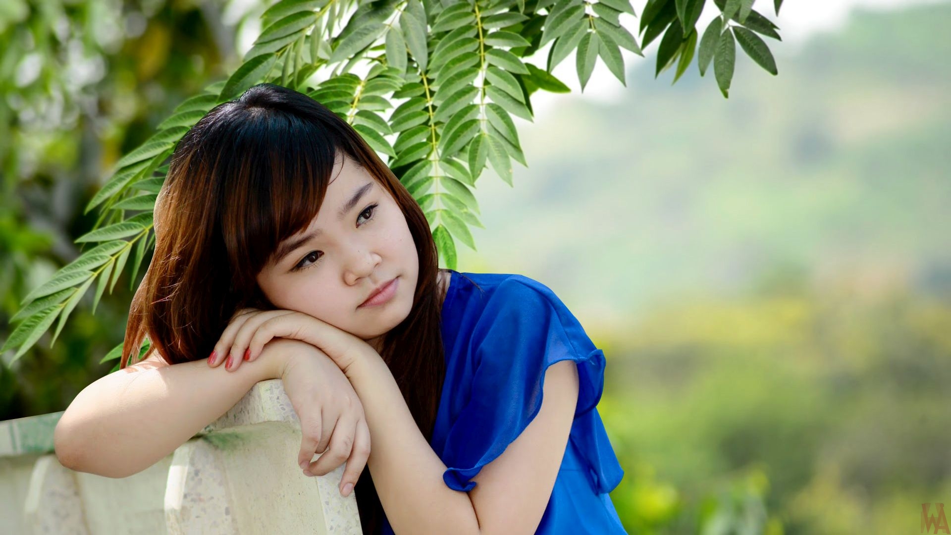 belle fille fond d'écran hd,beauté,la photographie,sourire,enfant,herbe