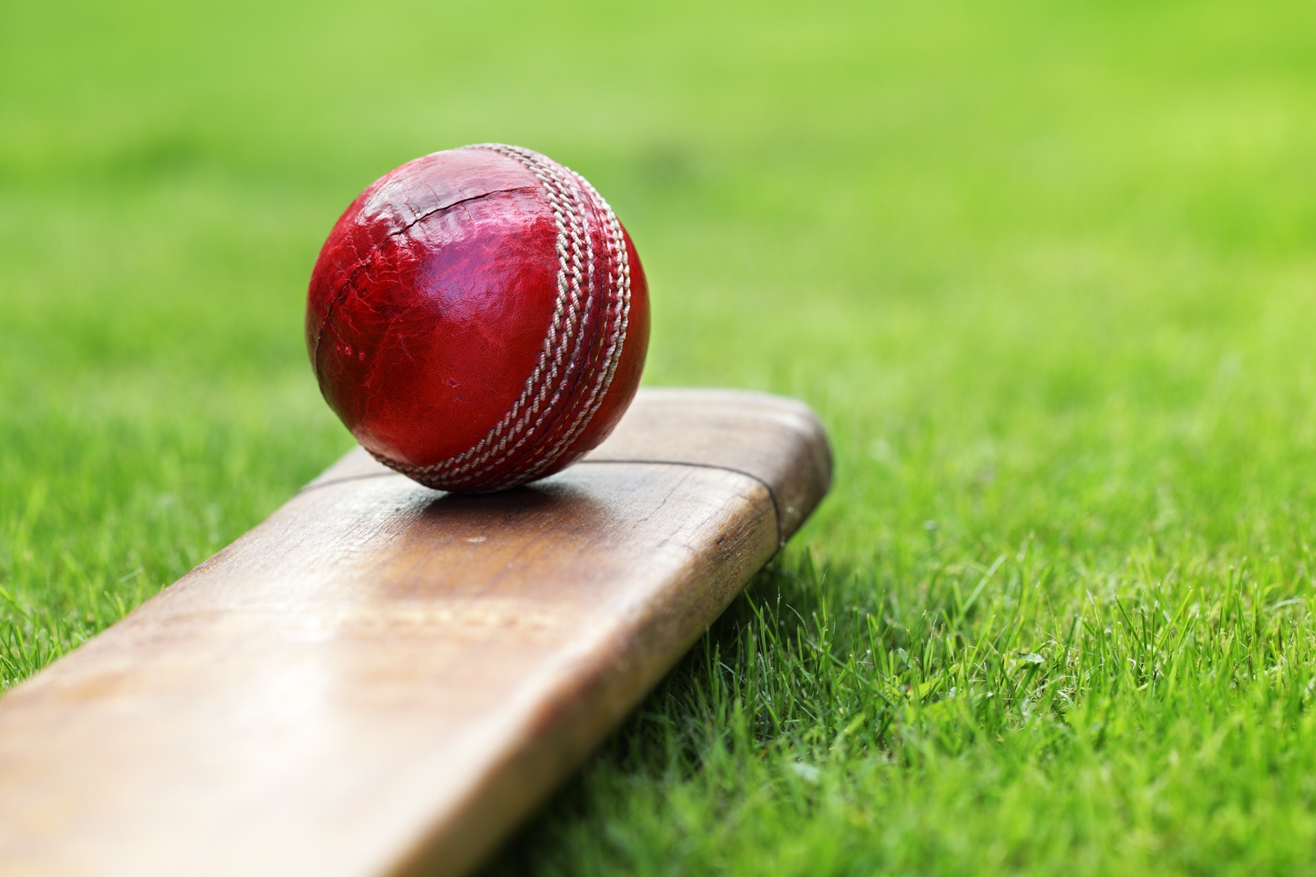 sporttapeten,cricket ball,kricket,spiele,sport,gras