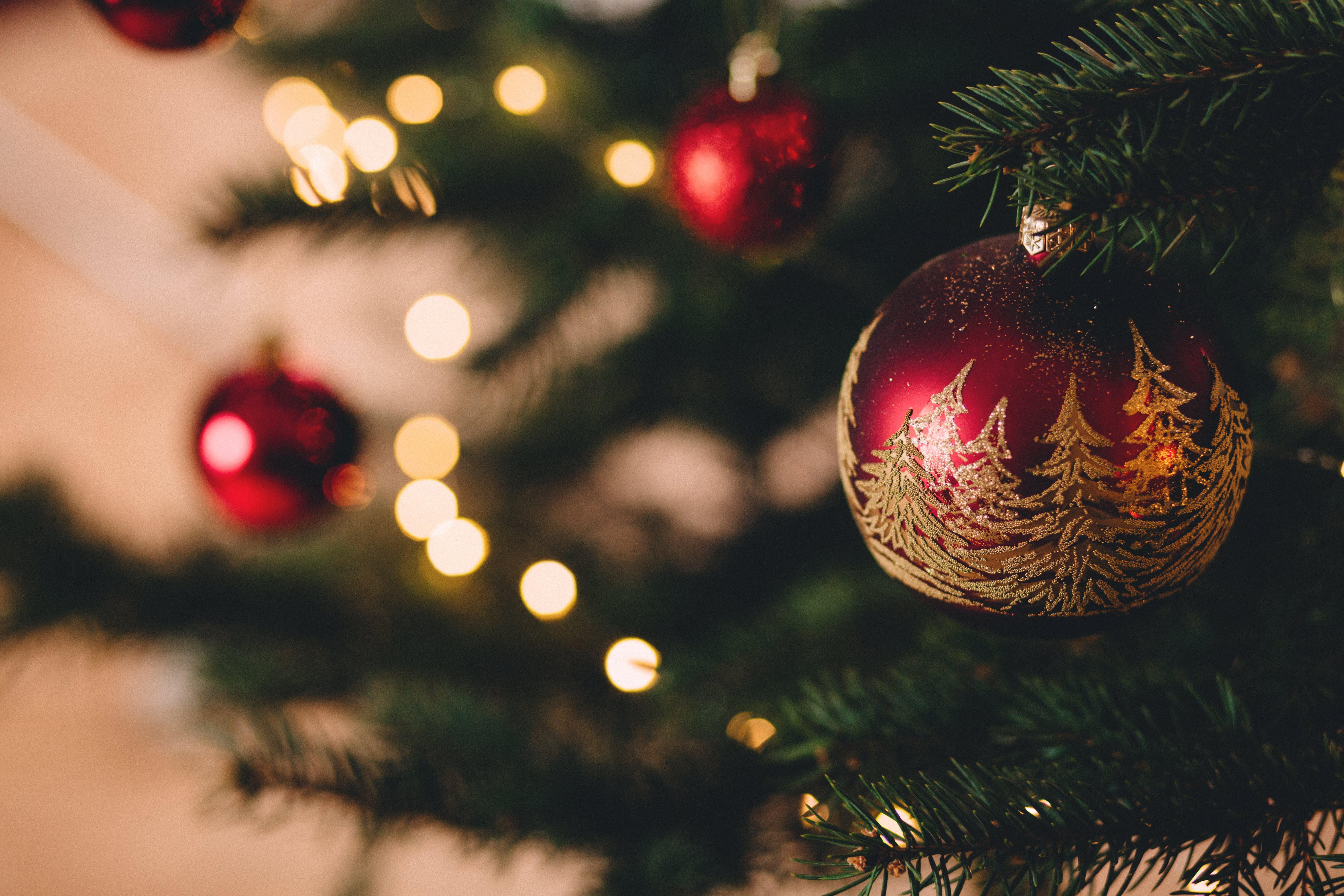 ロイヤリティ壁紙,クリスマスオーナメント,クリスマス,クリスマスツリー,クリスマスの飾り,木