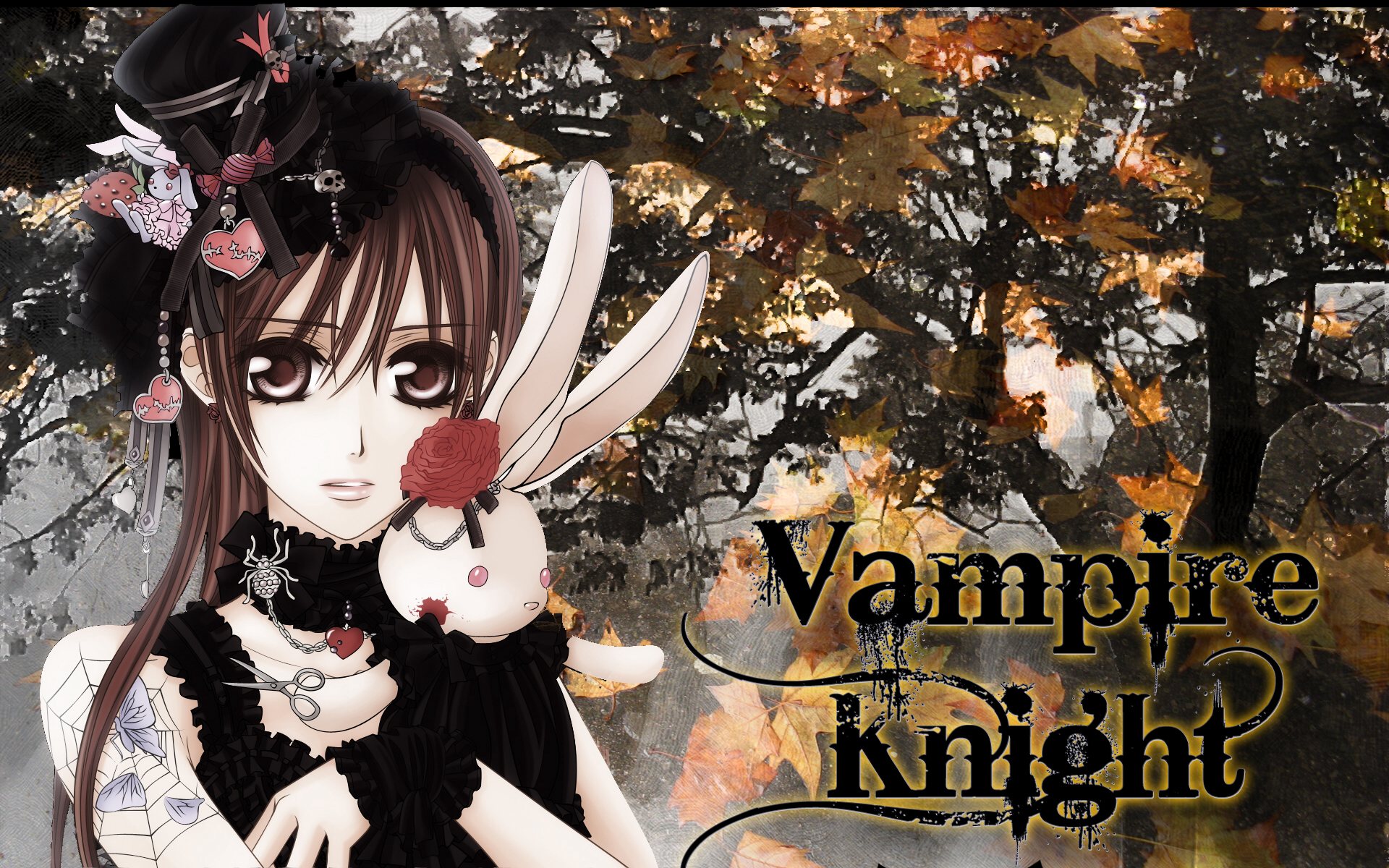 vampire knight wallpaper,cartoon,black hair,illustration,anime,fictional character
