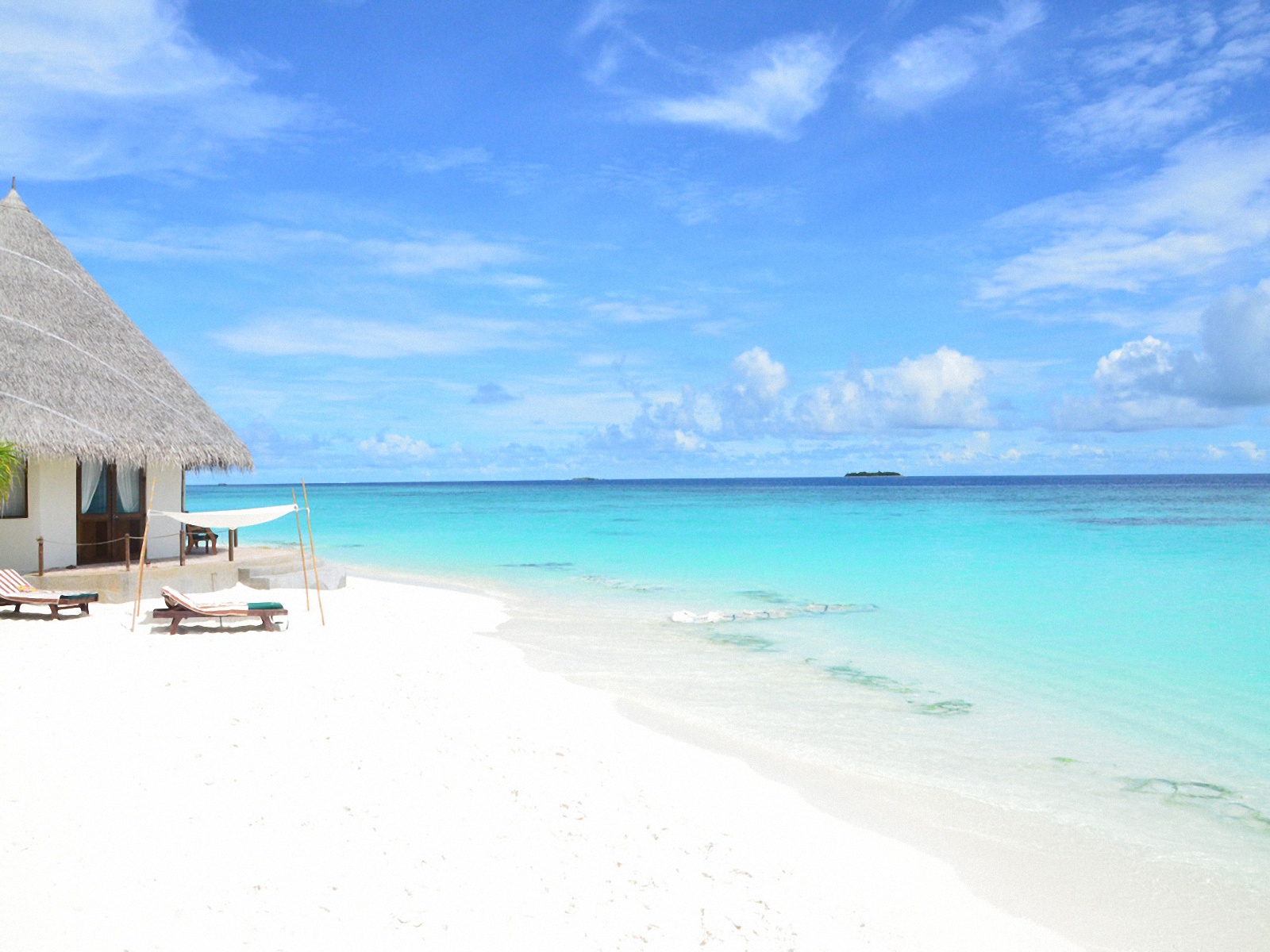 strand wallpaper,caribbean,vacation,sky,sea,beach