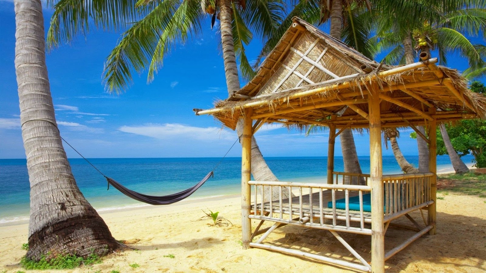 strand wallpaper,vacation,tropics,beach,resort,caribbean