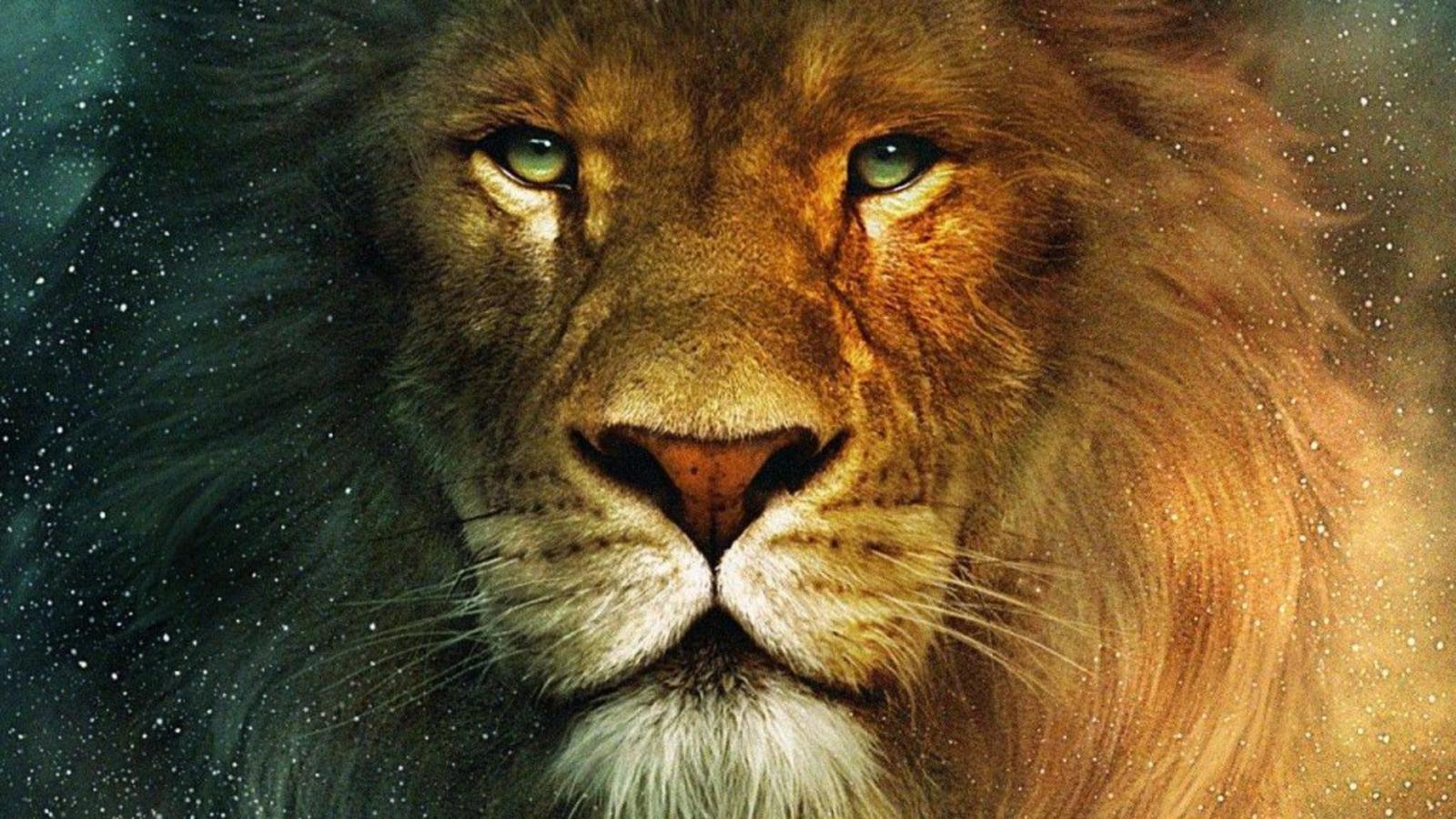 Aslan The Lion From Narnia - Cronicas De Narnia Leao- WallpaperUse