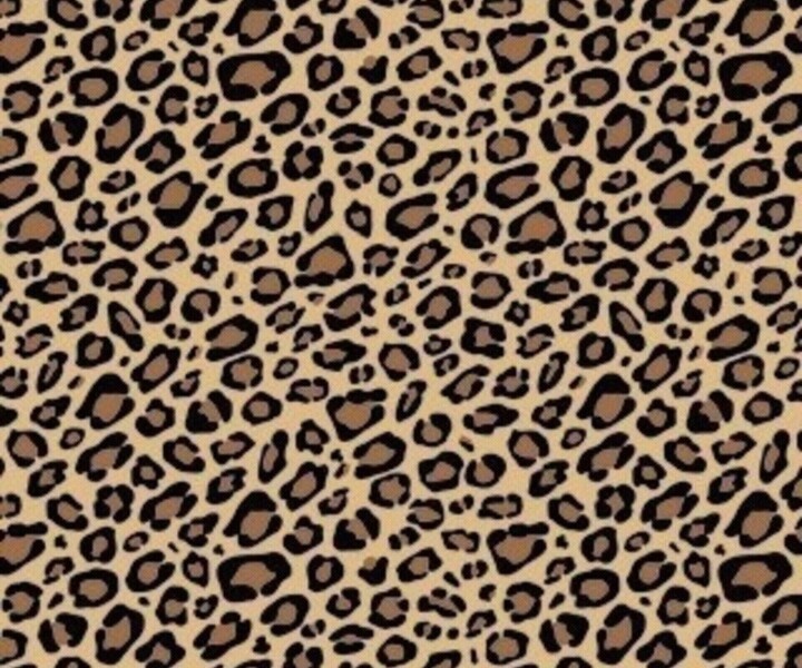 papel pintado con estampado de guepardo,modelo,marrón,piel,diseño,modelo