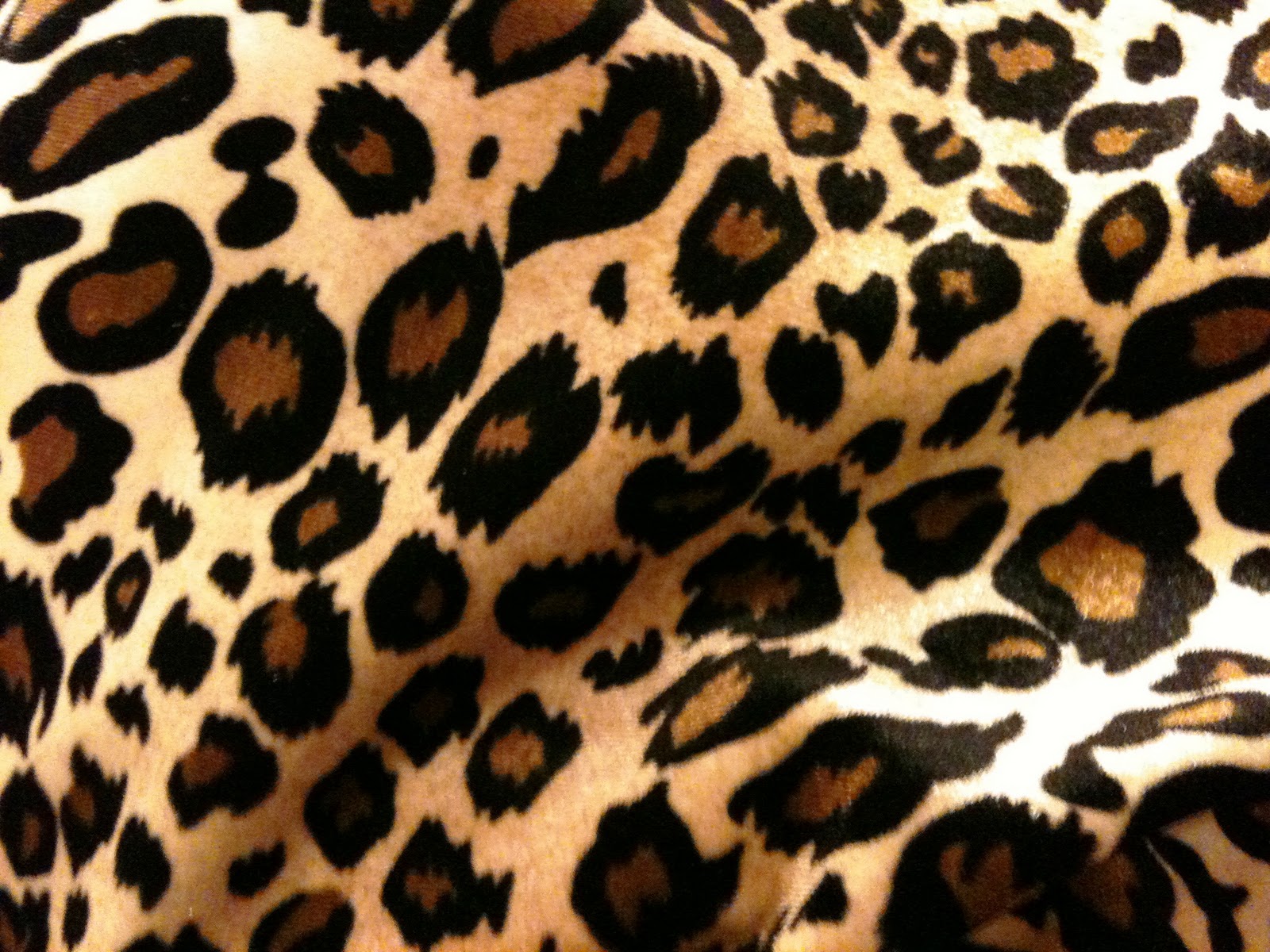 cheetah print wallpaper,fur,pattern,terrestrial animal,wildlife,felidae